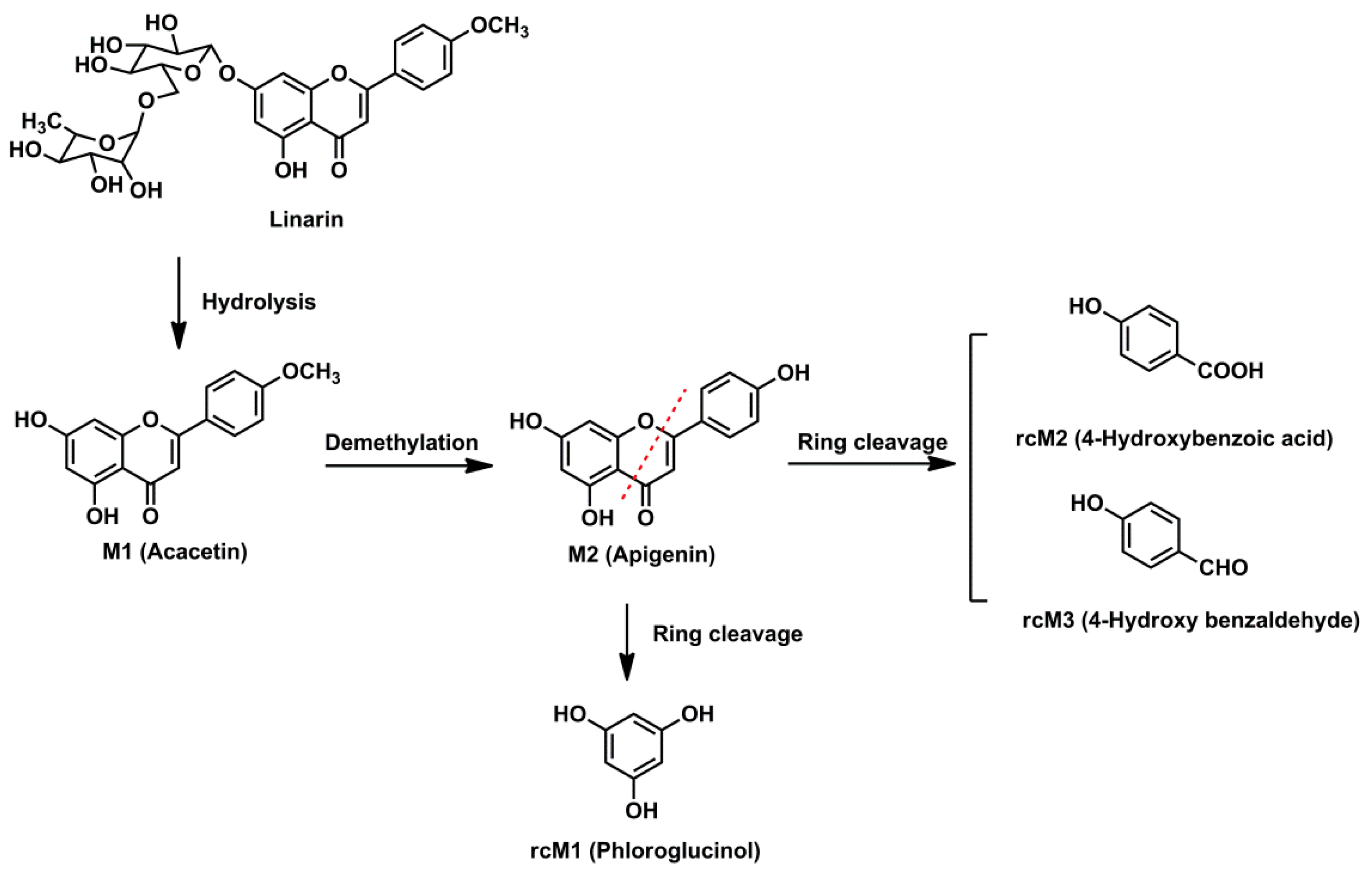 Molecules 23 02140 g004