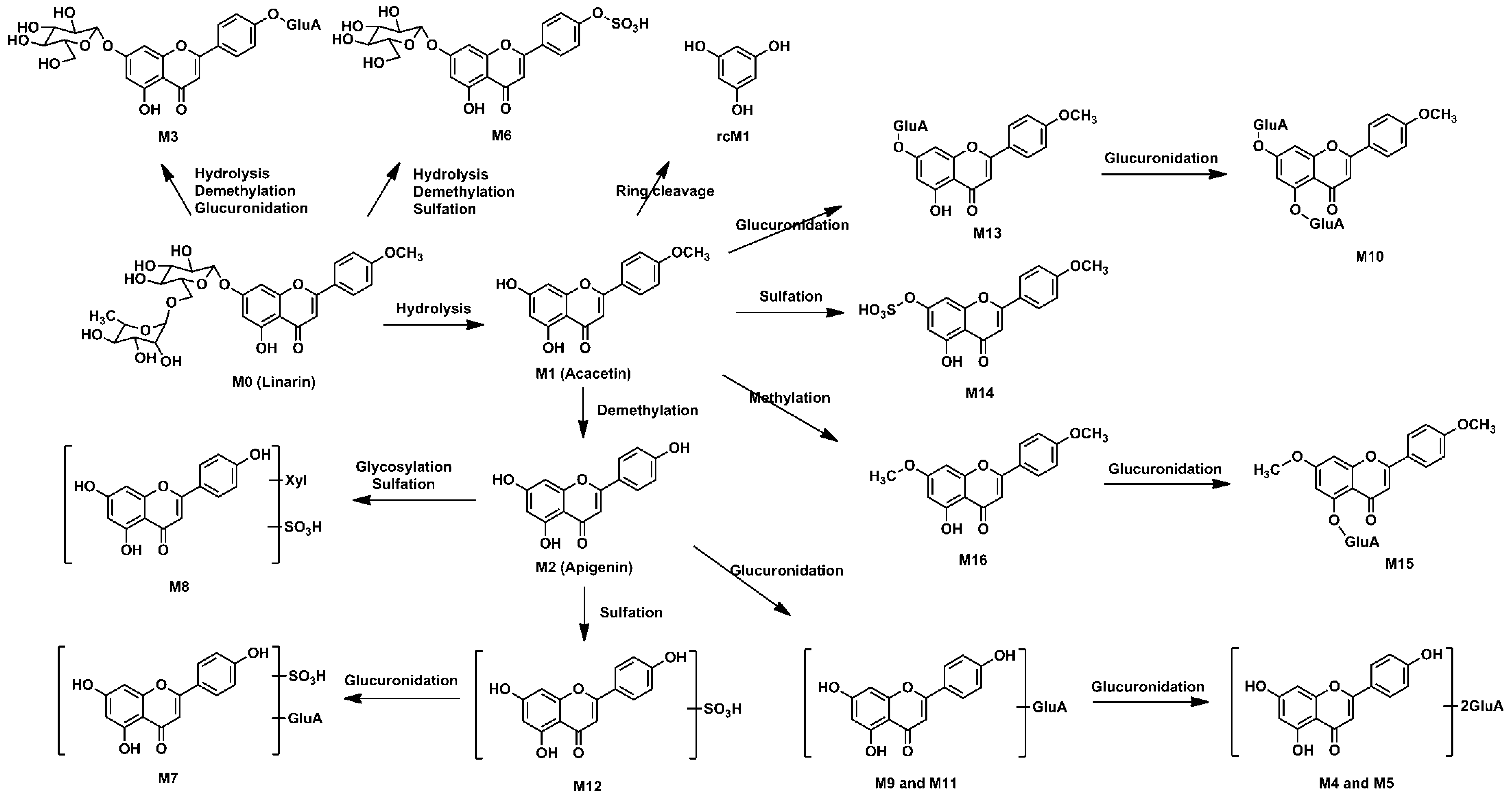 Molecules 23 02140 g005