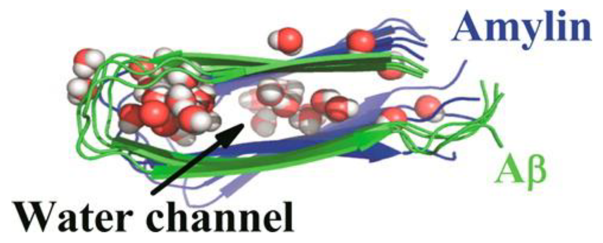 Molecules 23 02142 g020