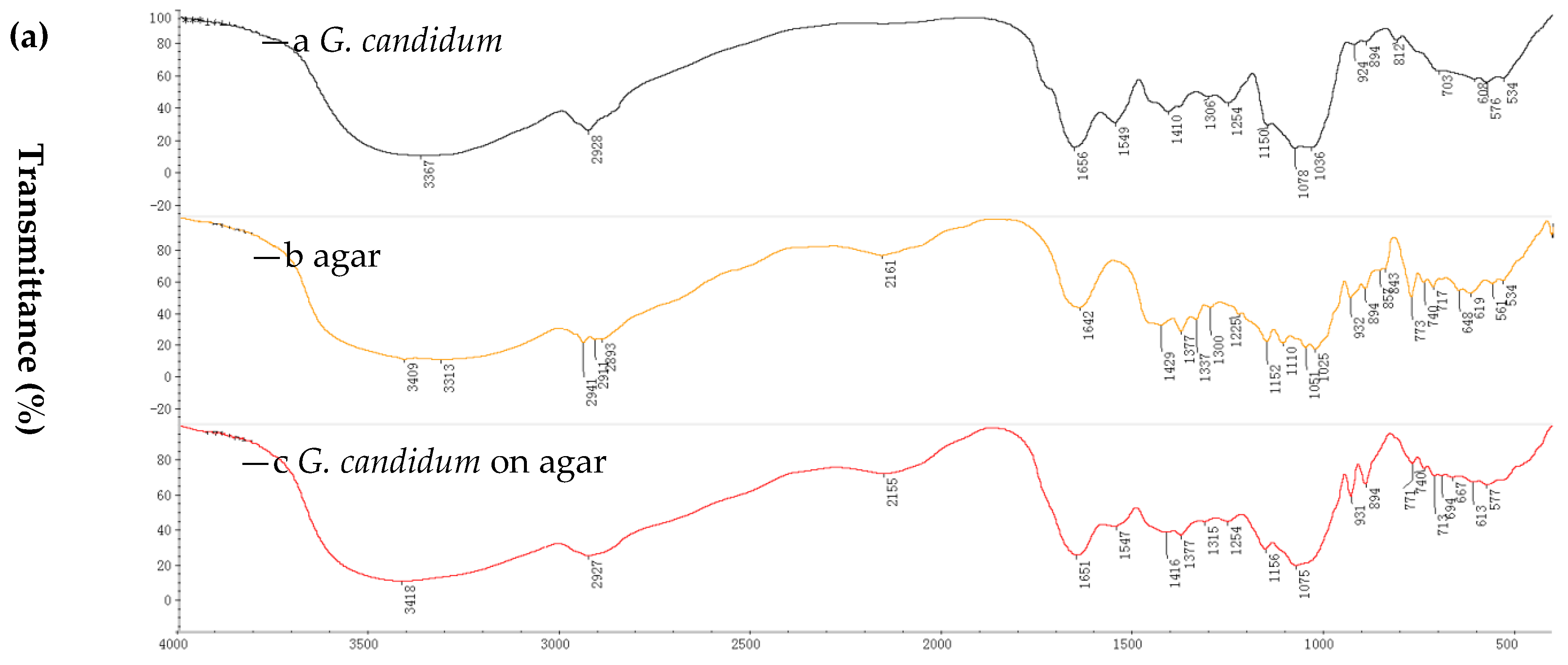 Molecules 23 02144 g001a
