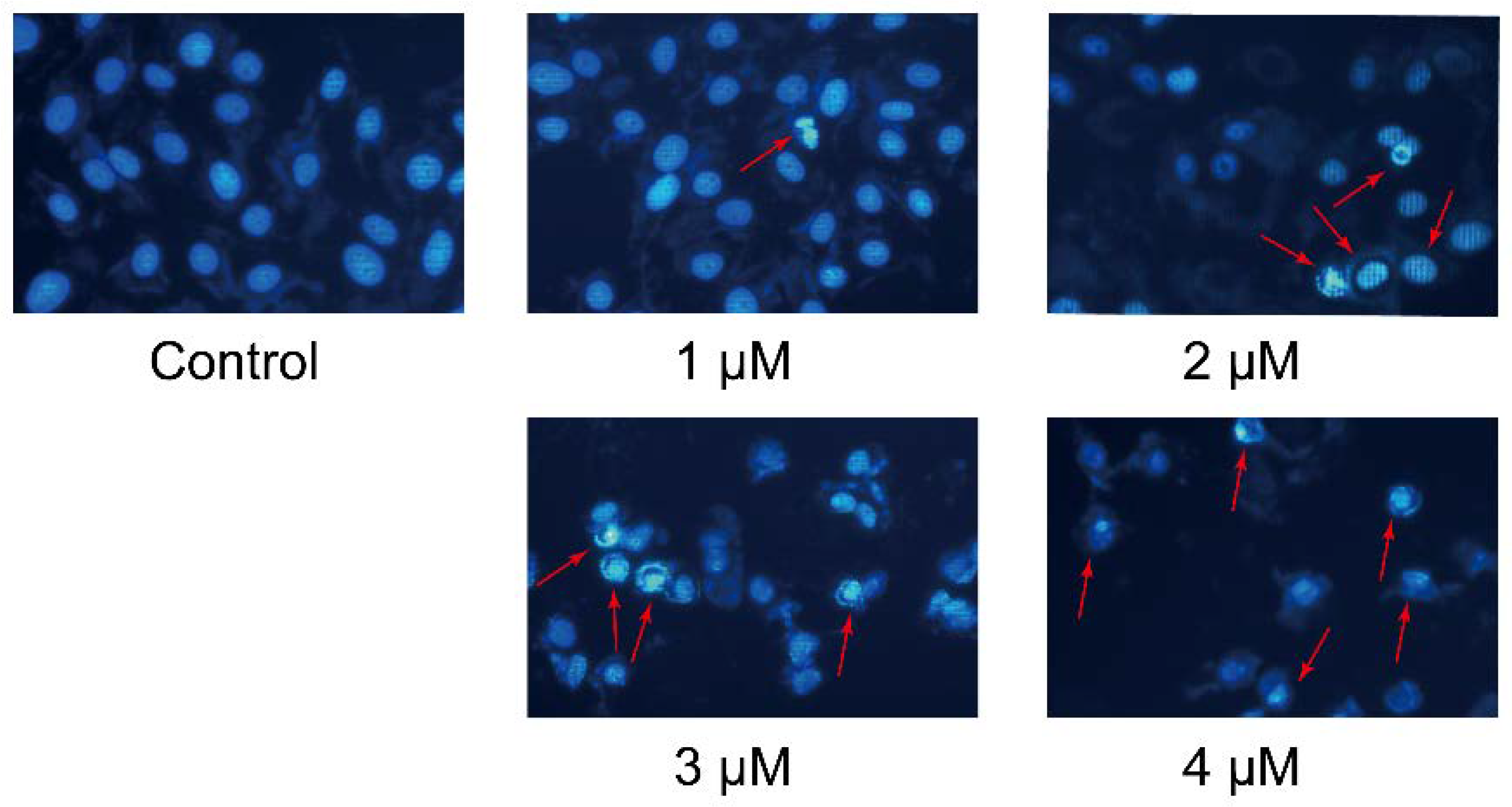 Molecules 23 02146 g003 Molecules 23 02146 g003