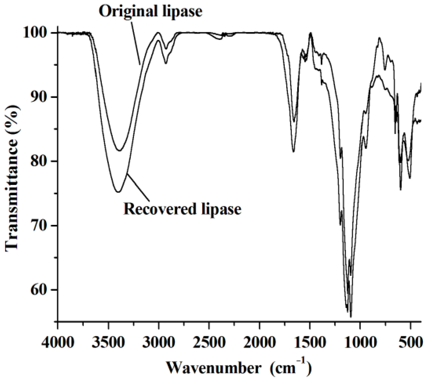 Molecules 23 02154 g006