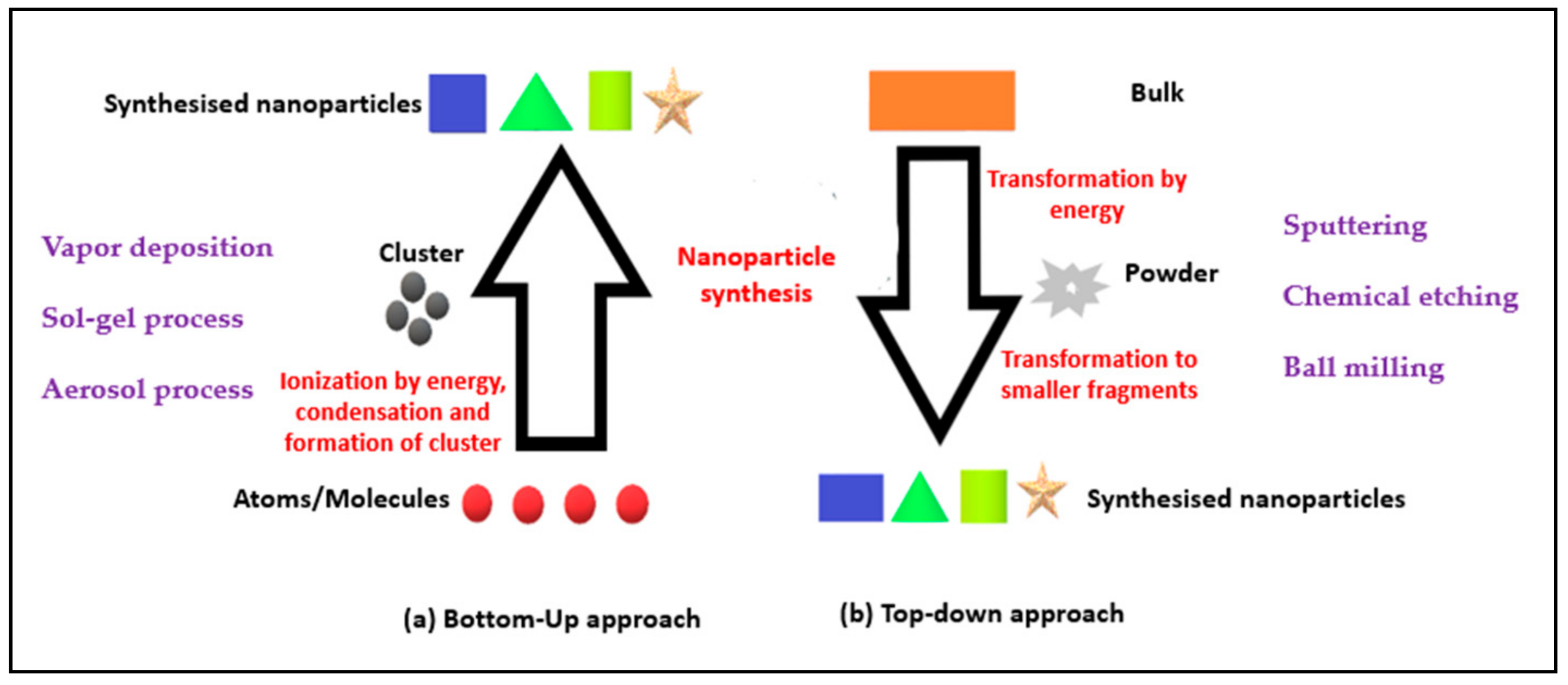 Molecules 23 02157 g001