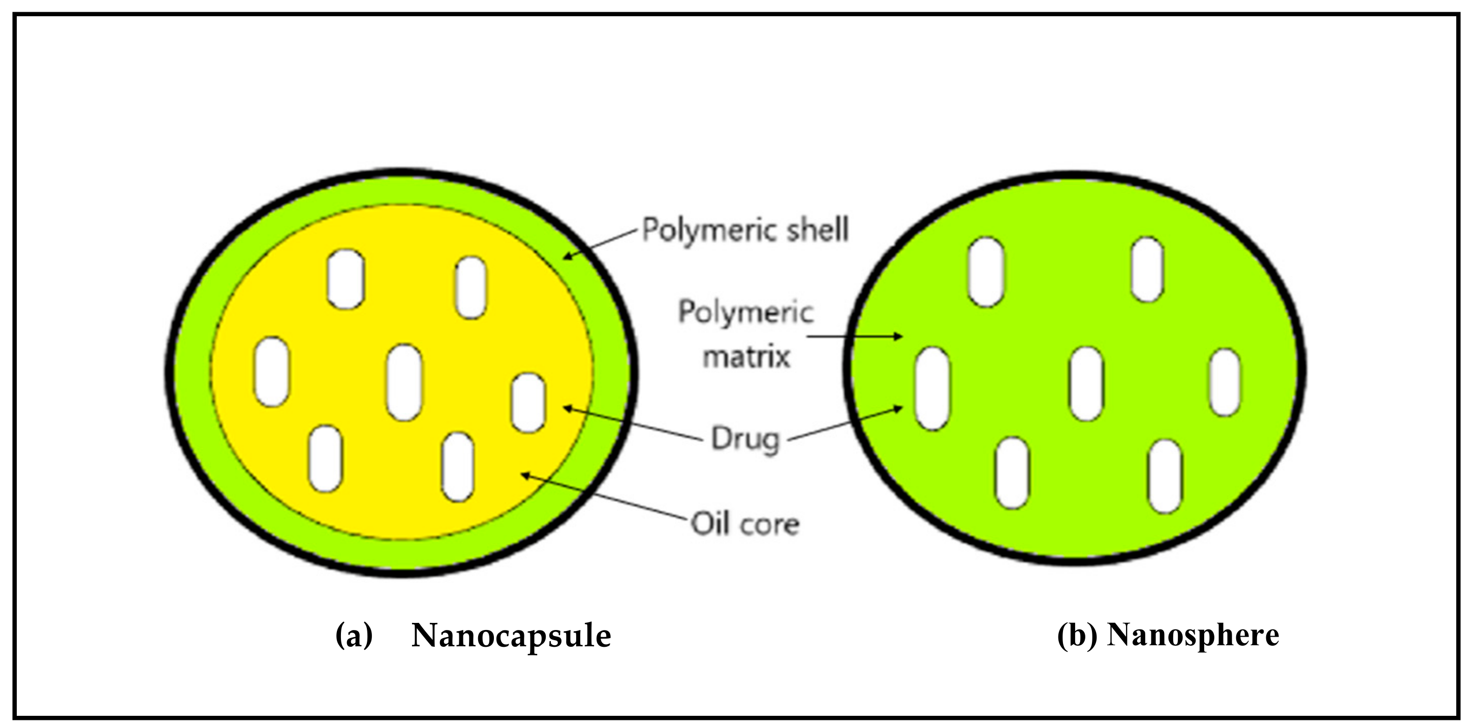 Molecules 23 02157 g003