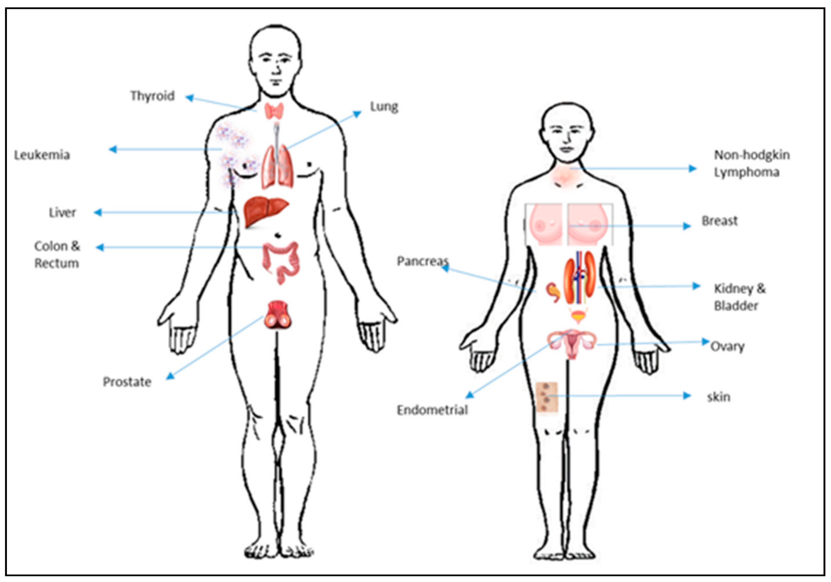 Molecules 23 02157 g009