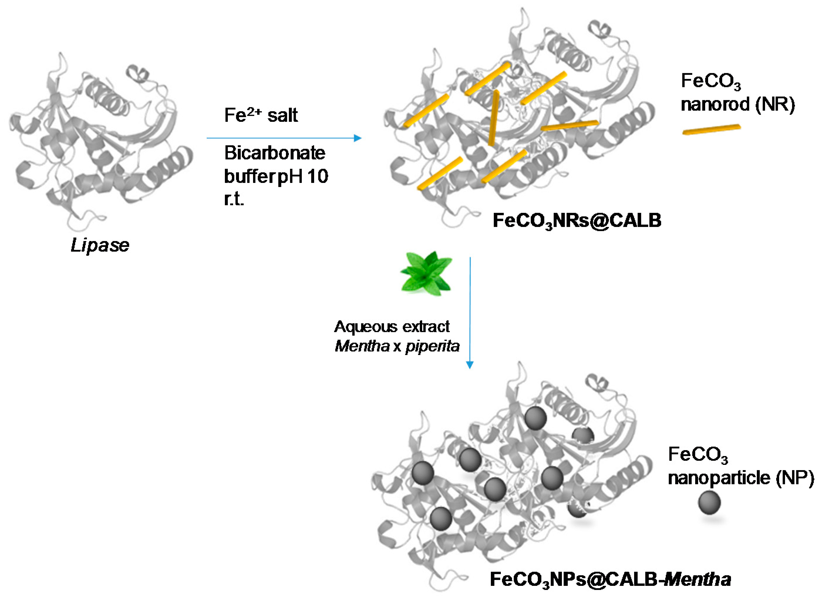 Molecules 23 02166 g001 Molecules 23 02166 g001