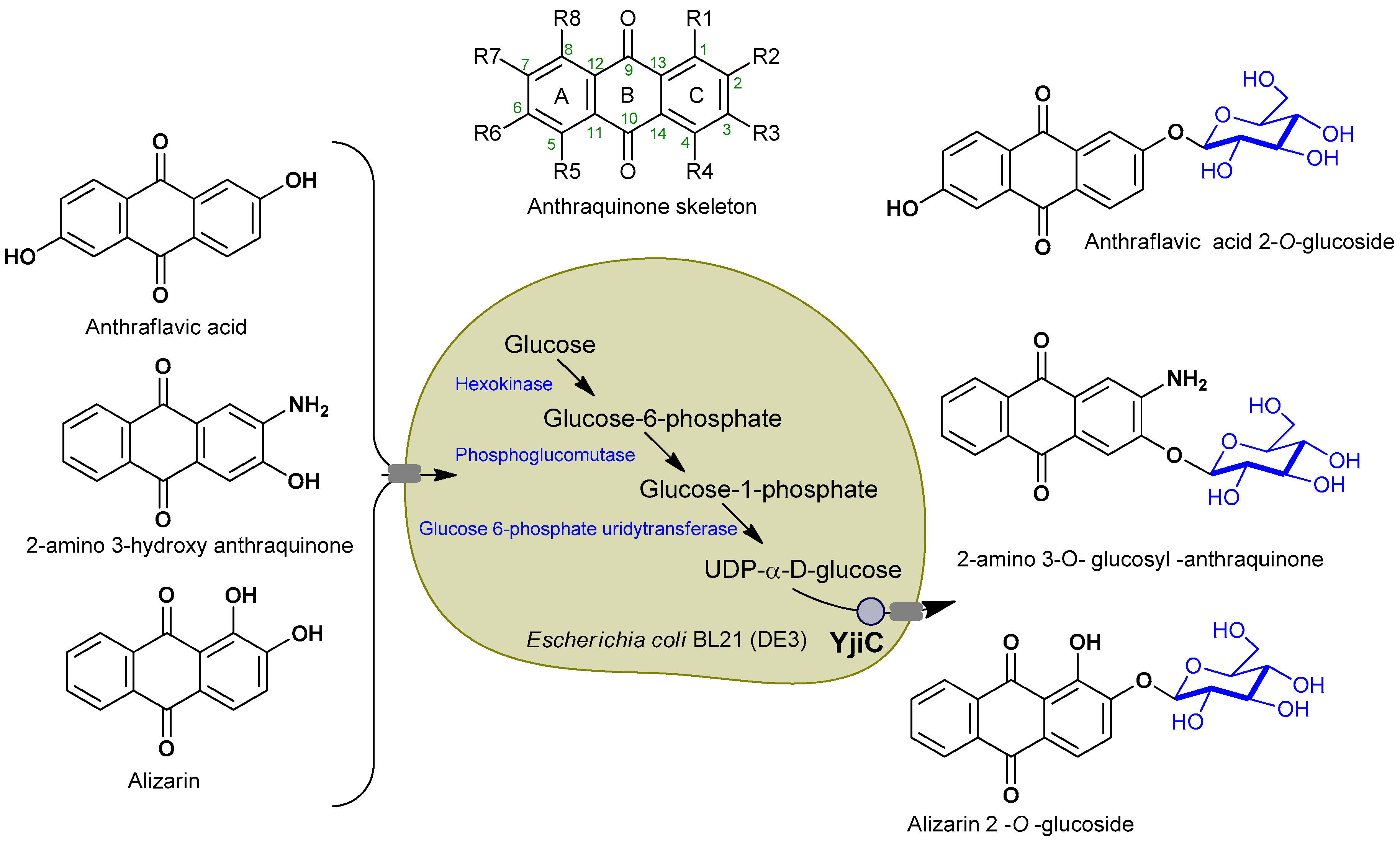 Molecules 23 02171 g001 Molecules 23 02171 g001