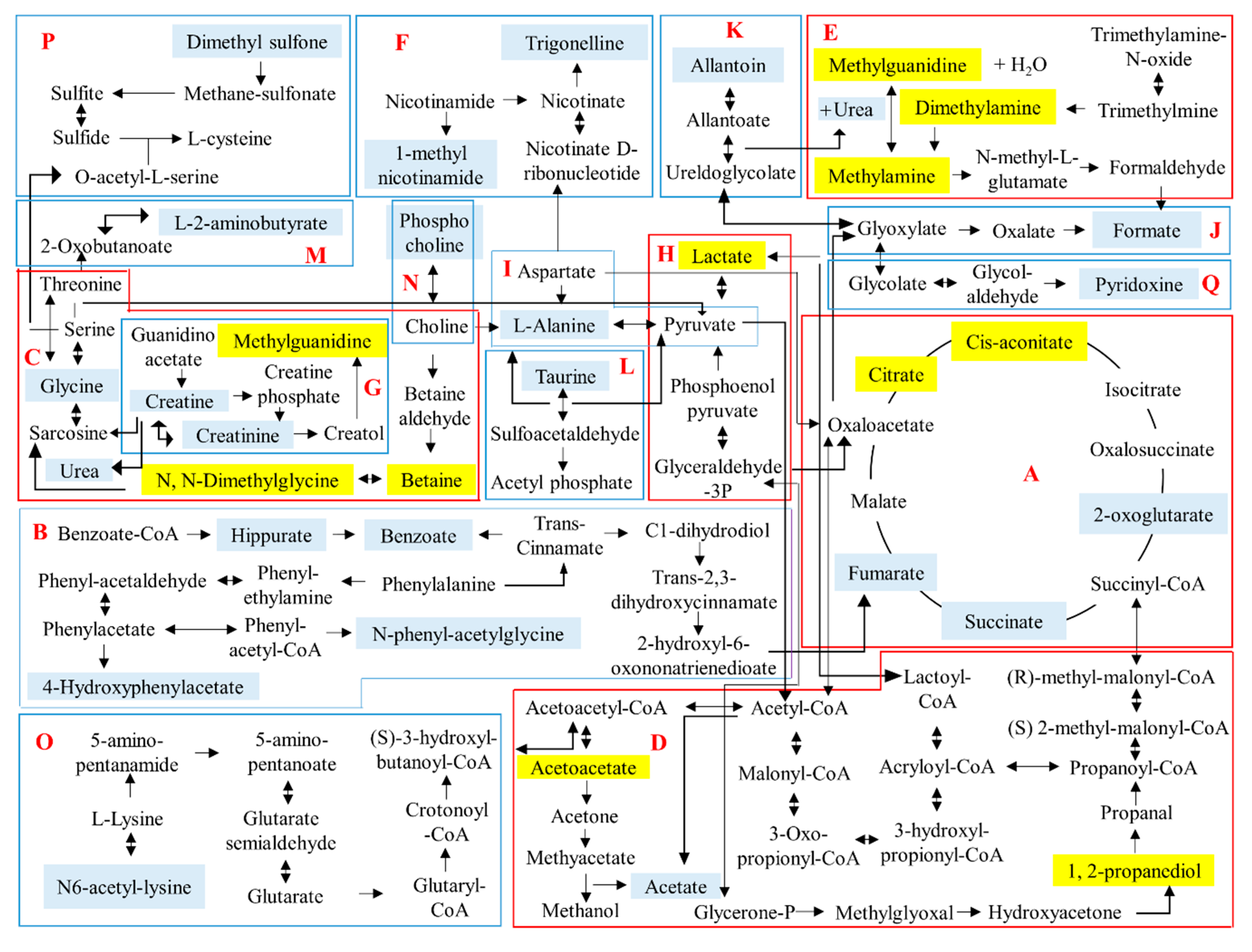 Molecules 23 02172 g006 Molecules 23 02172 g006