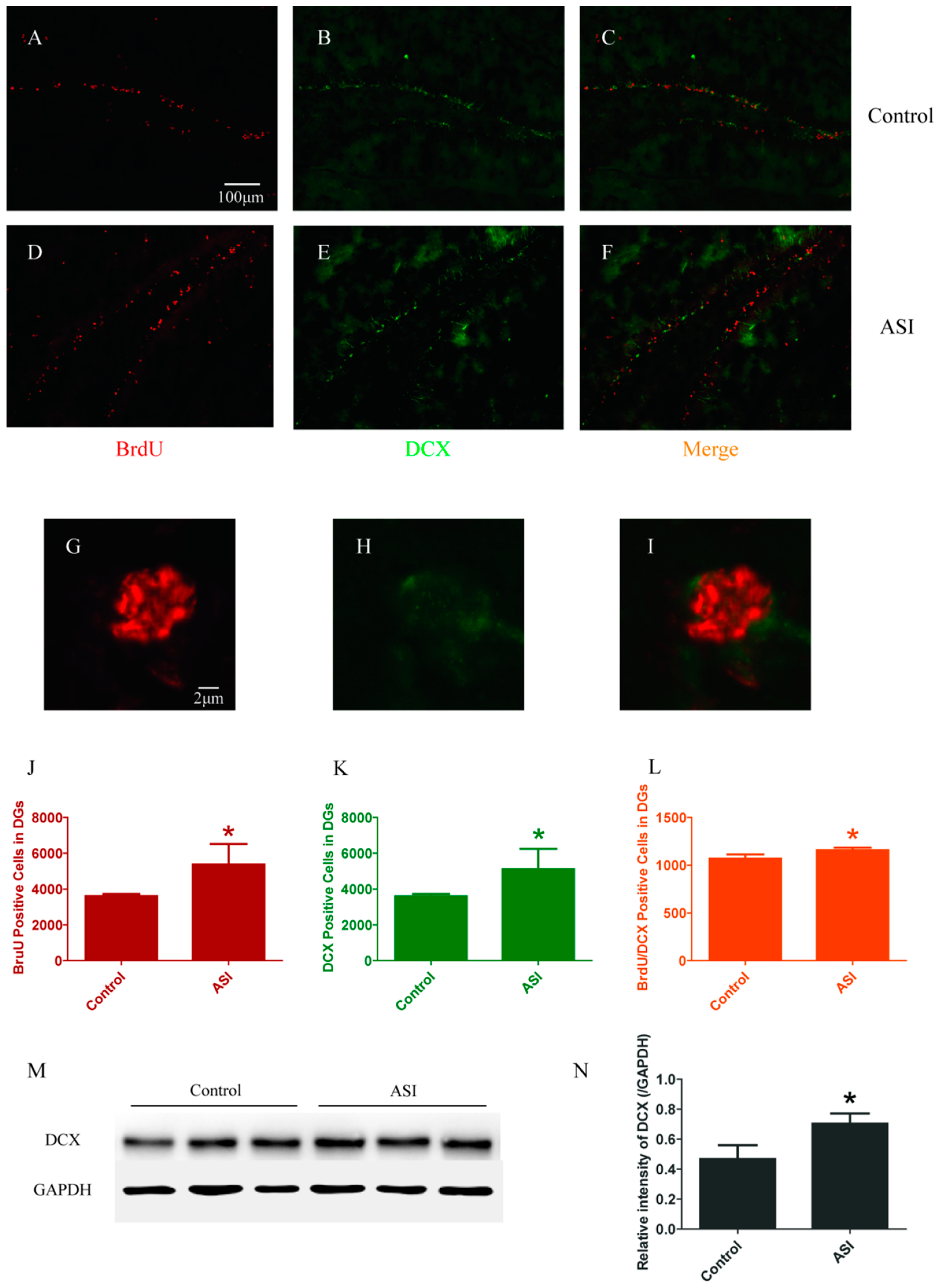 Molecules 23 02178 g001 Molecules 23 02178 g001