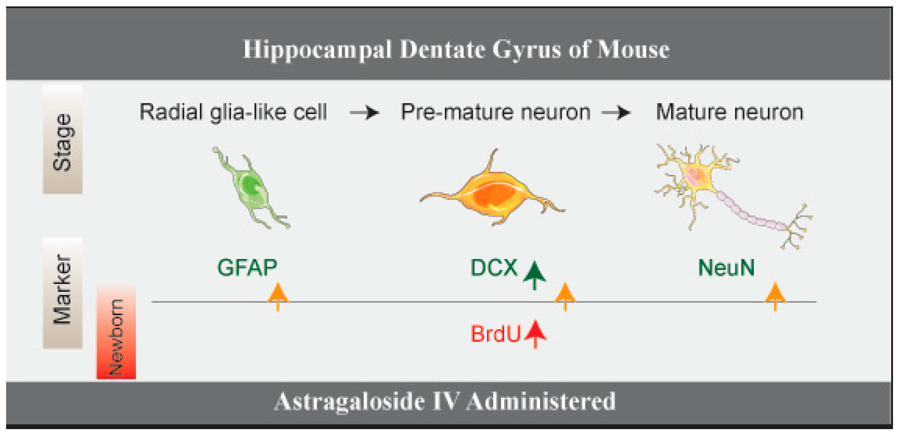 Molecules 23 02178 g004 Molecules 23 02178 g004