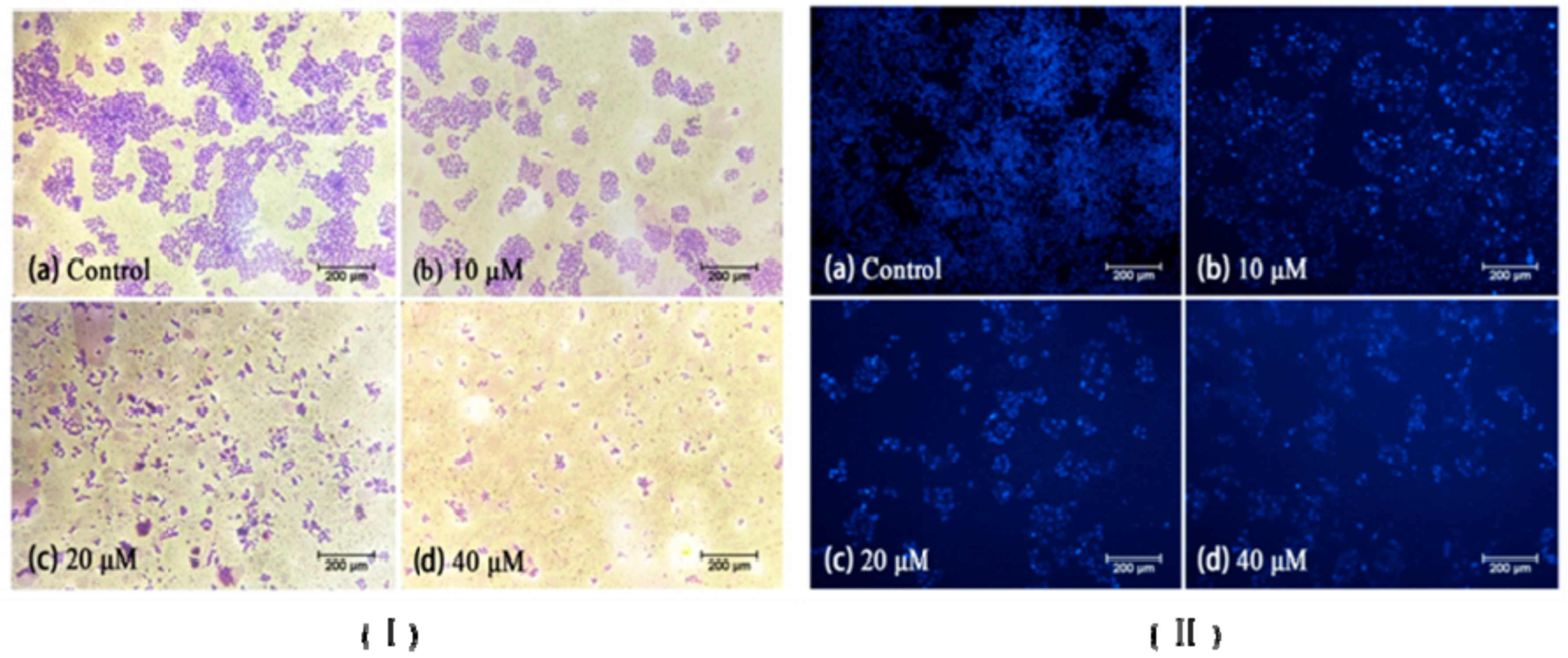 Molecules 23 02187 g002 Molecules 23 02187 g002