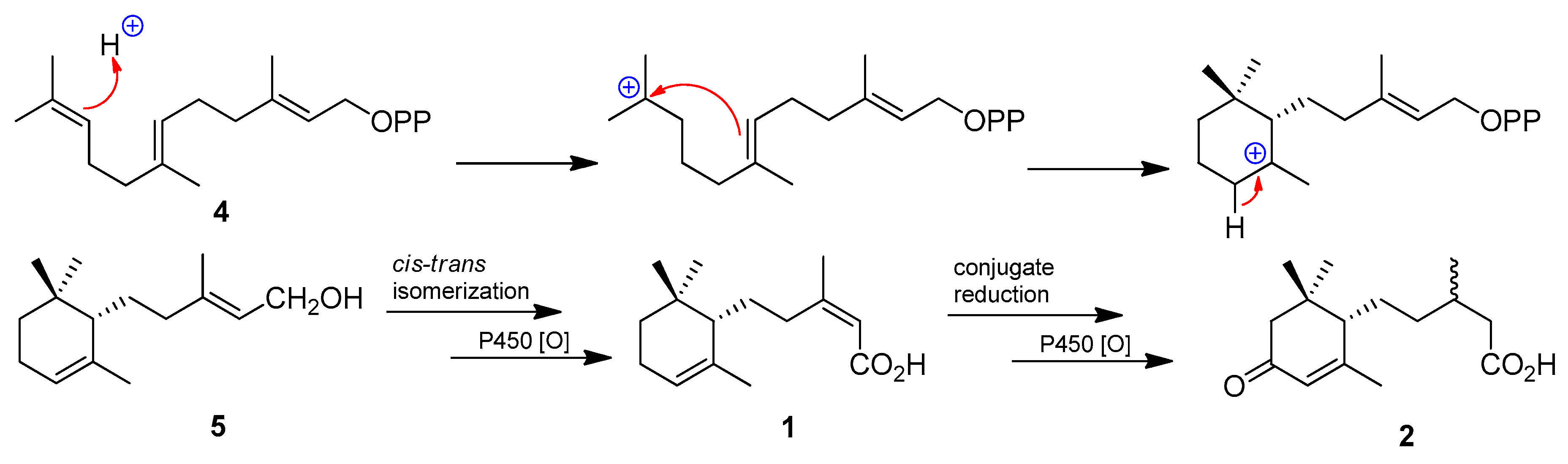 Molecules 23 02190 sch001