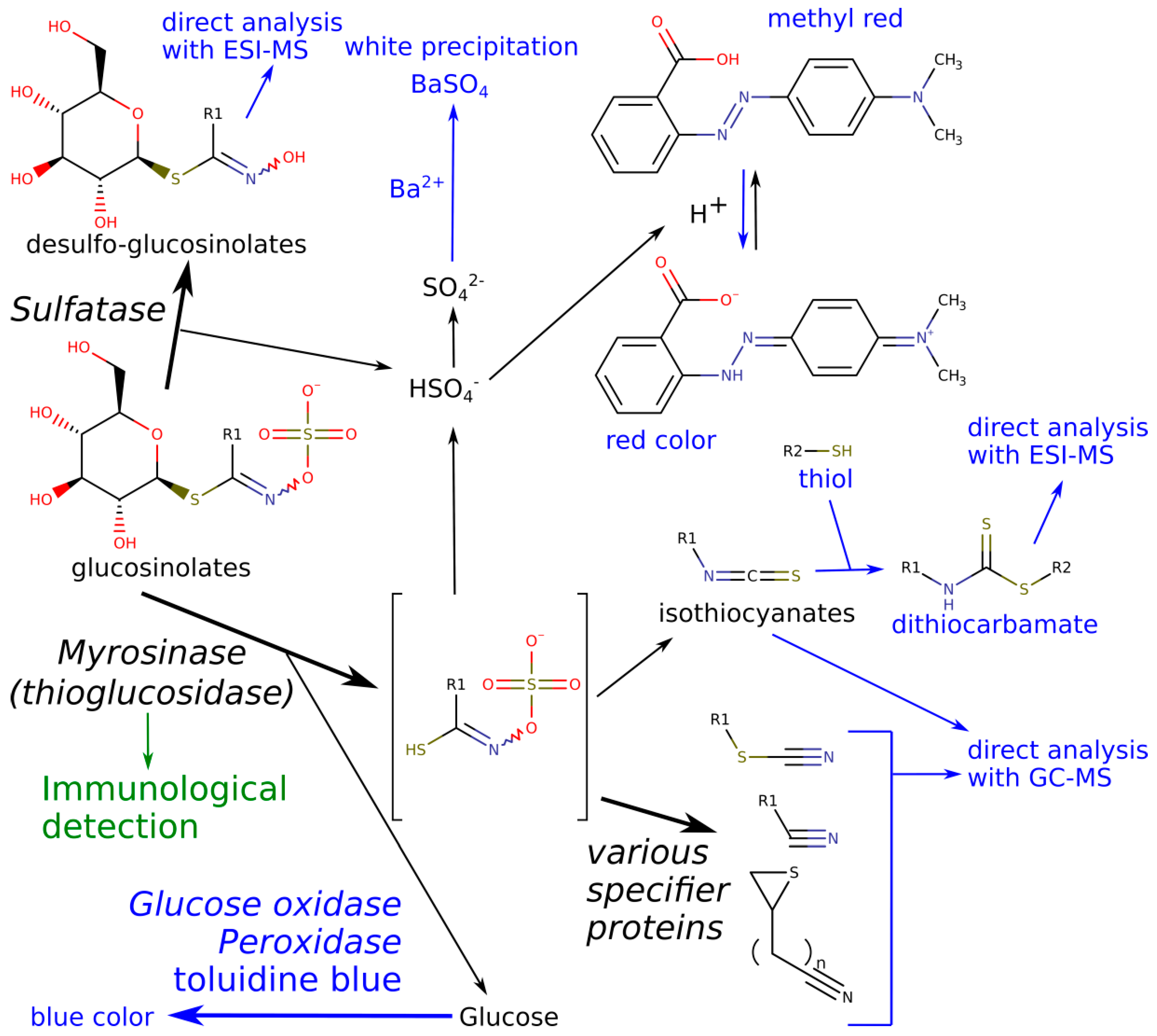 Molecules 23 02204 g001 Molecules 23 02204 g001