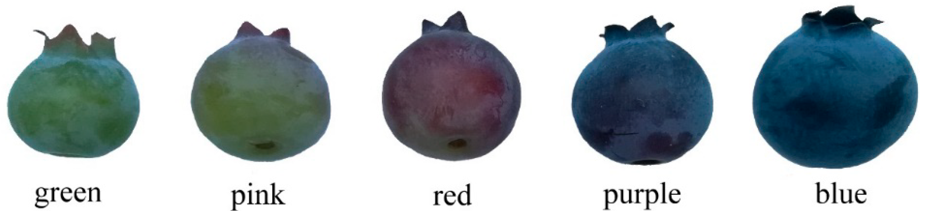 Molecules 23 02209 g006