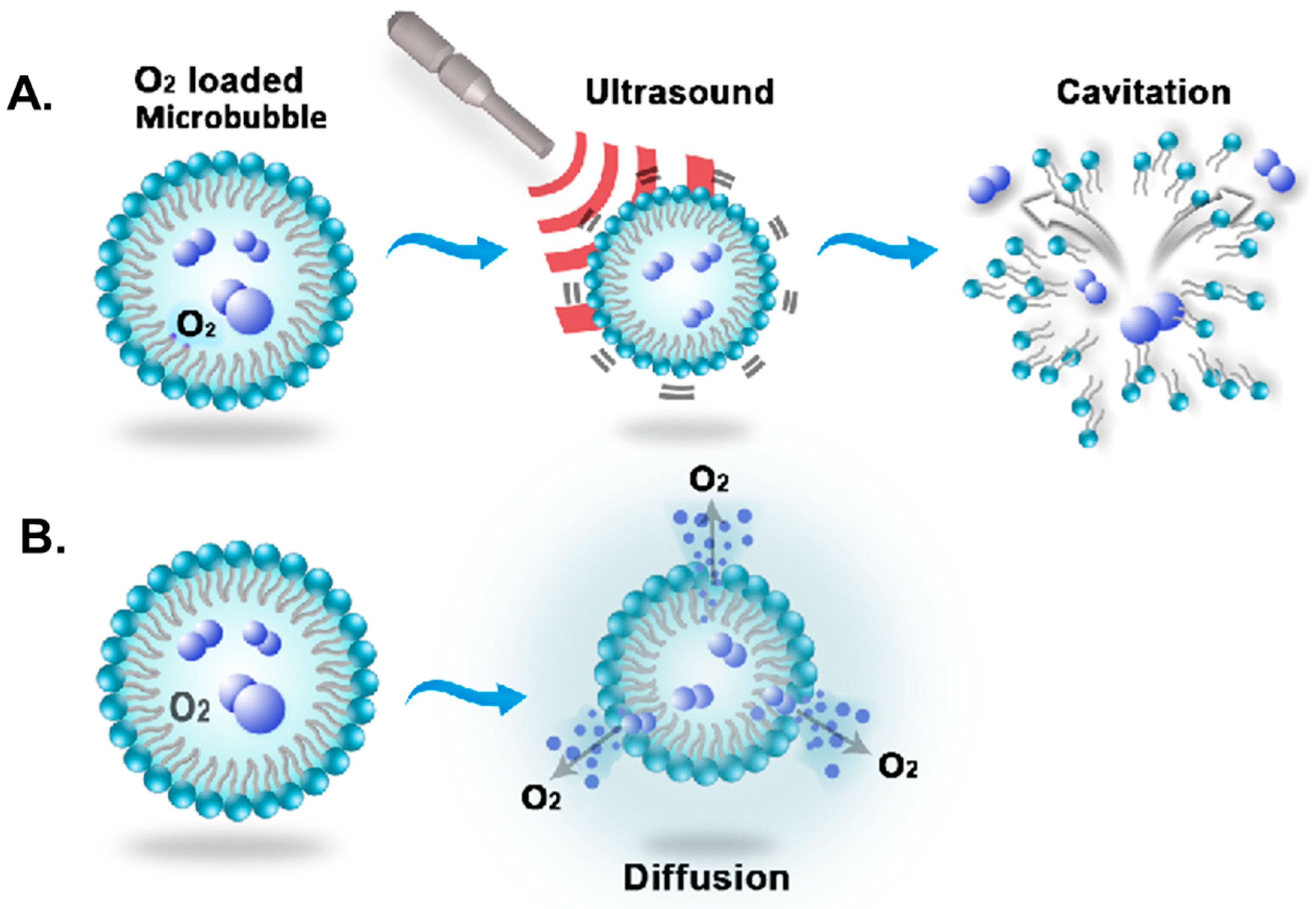 Molecules 23 02210 g002 Molecules 23 02210 g002