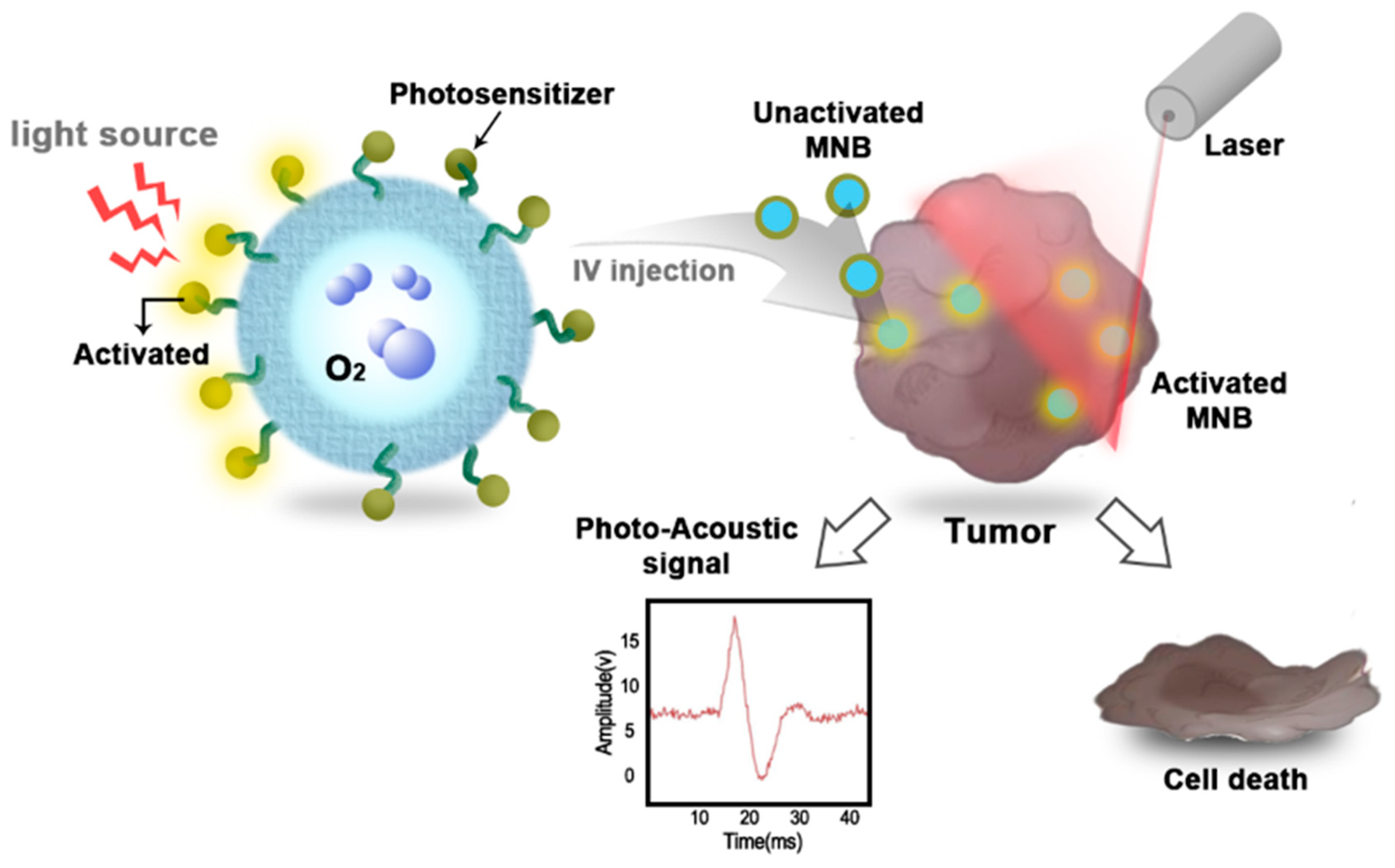 Molecules 23 02210 g003 Molecules 23 02210 g003