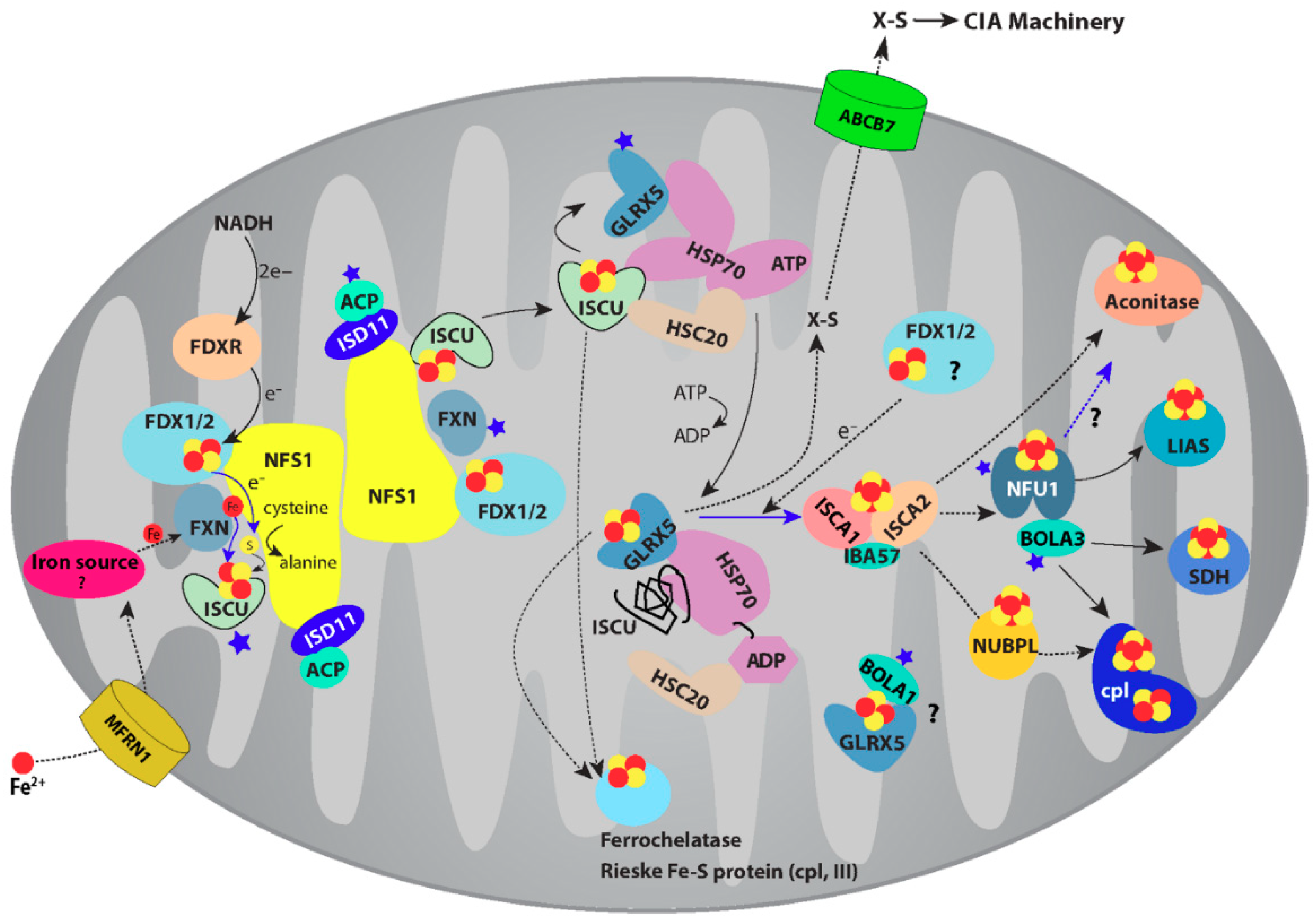 Molecules 23 02213 g001
