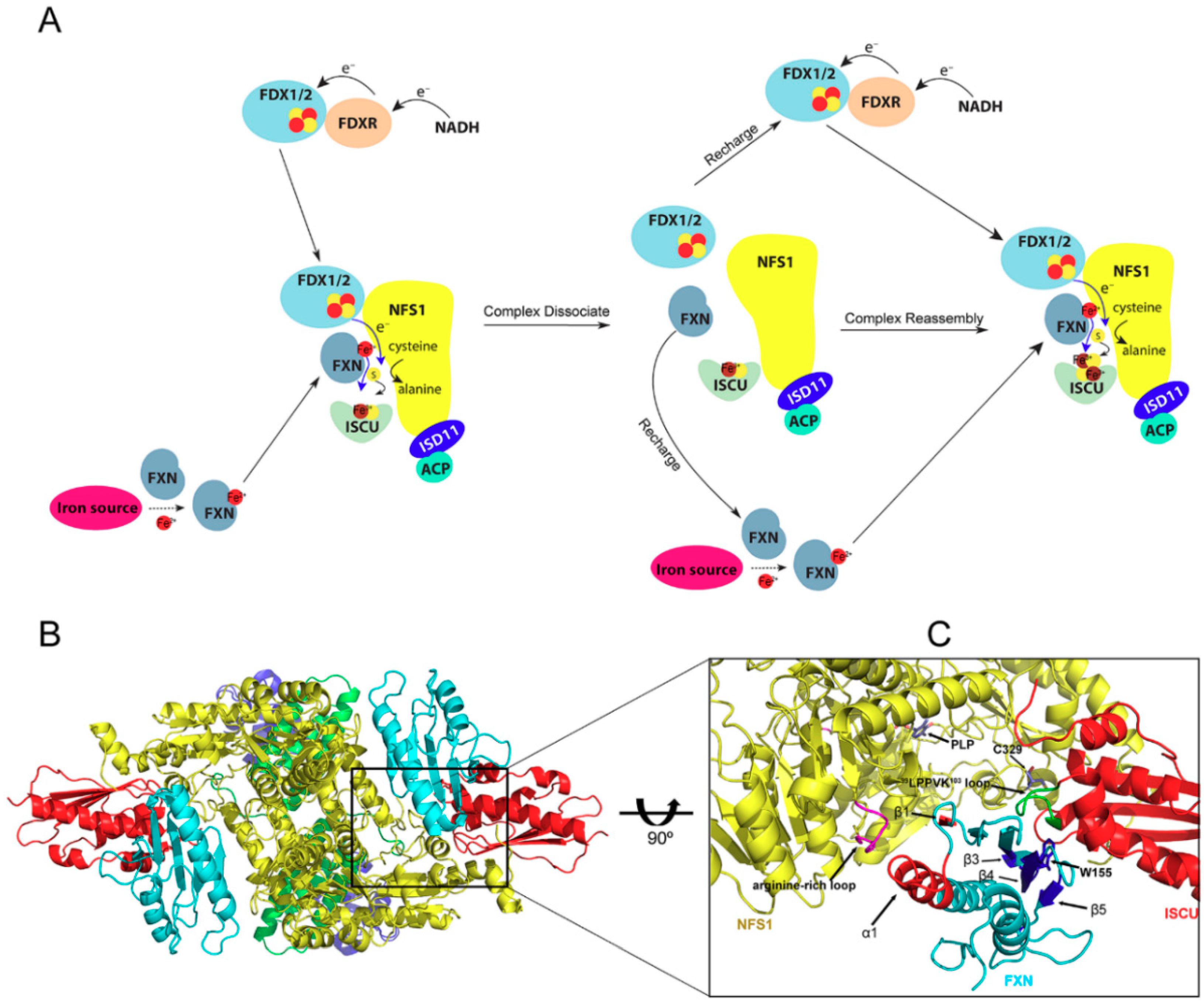 Molecules 23 02213 g007