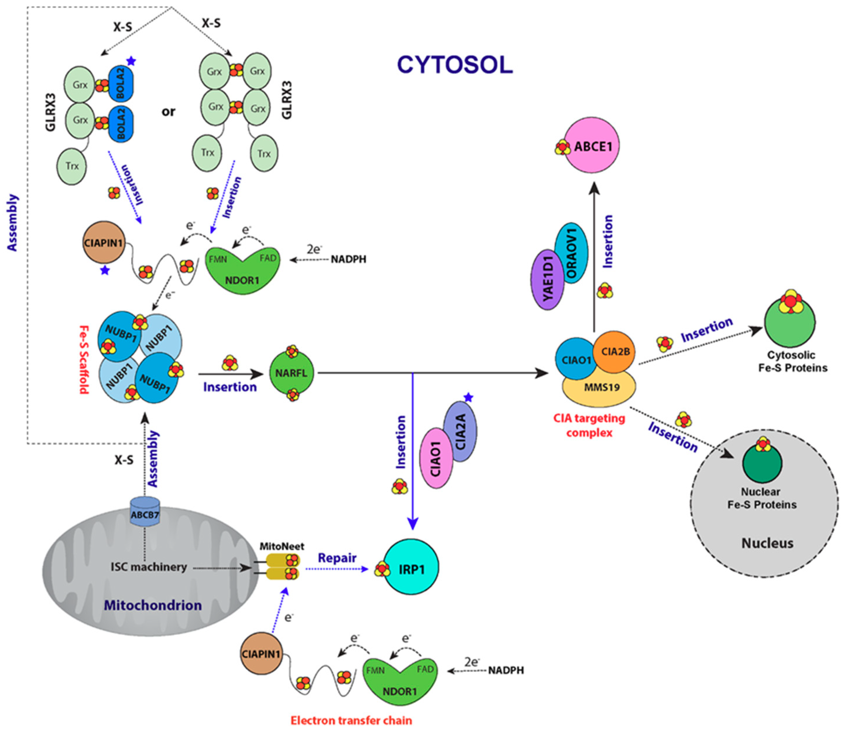 Molecules 23 02213 g009
