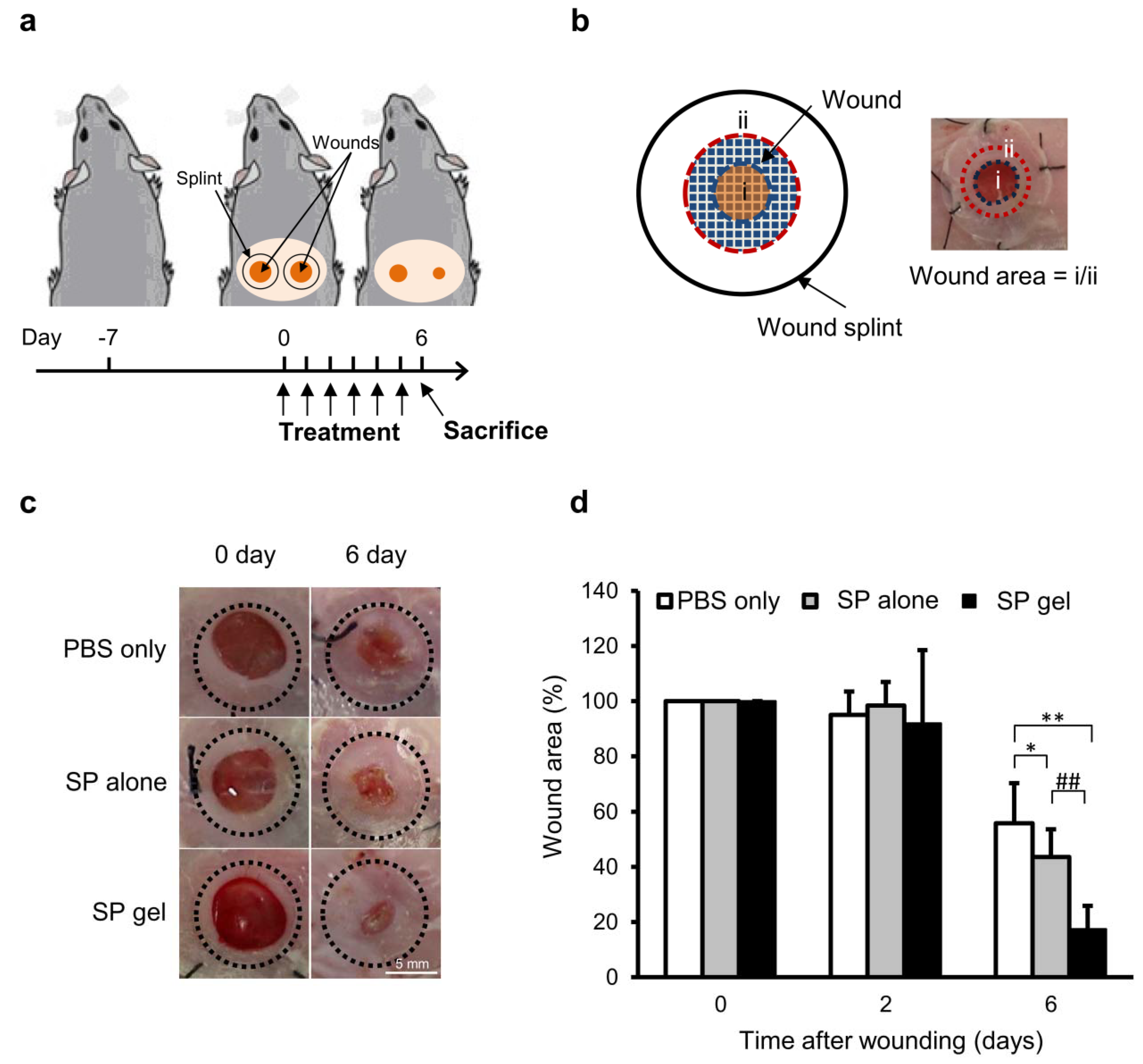 Molecules 23 02215 g005