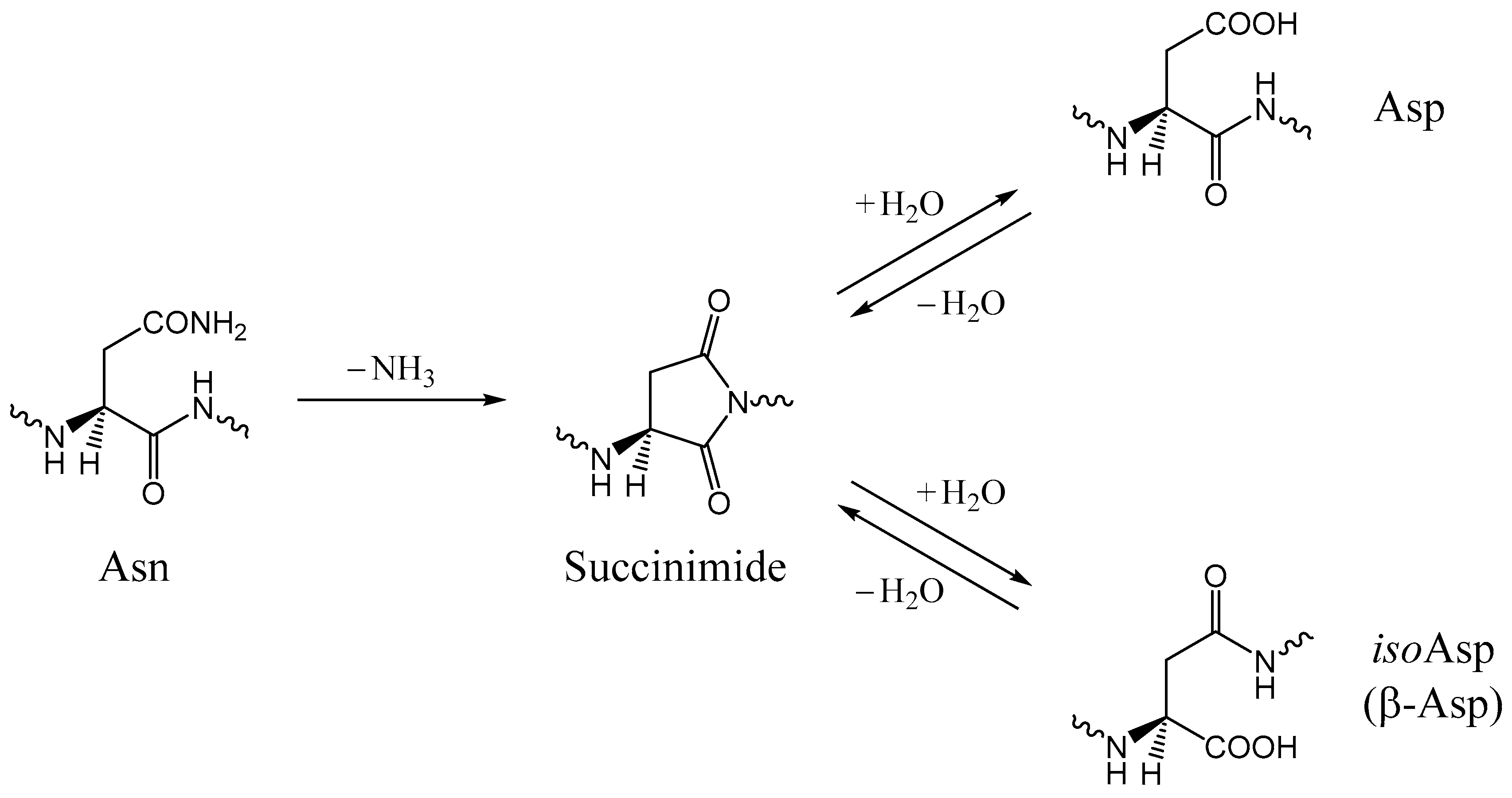 Molecules 23 02217 sch001 Molecules 23 02217 sch001