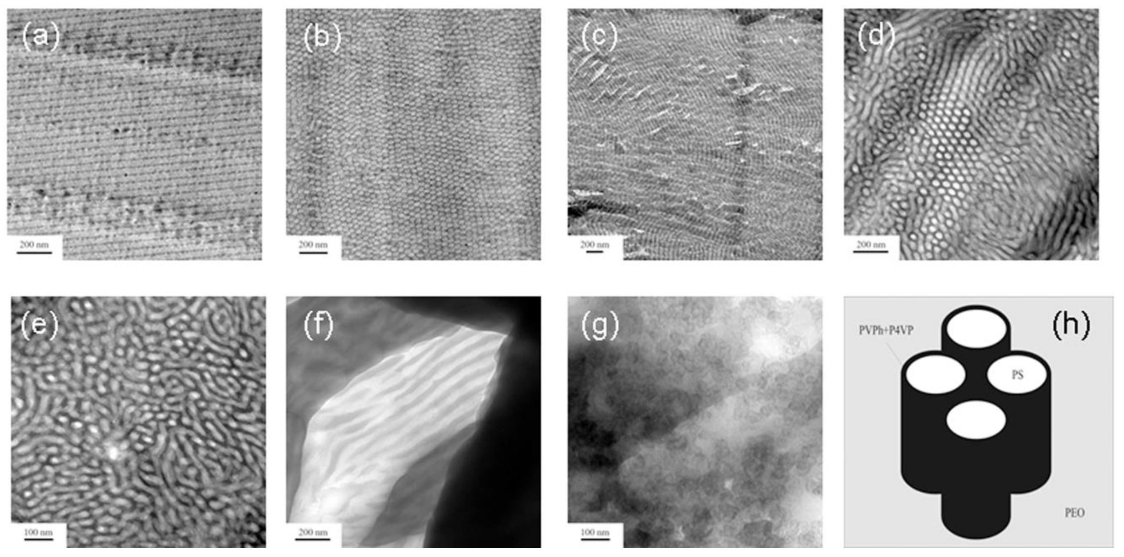 Molecules 23 02242 g010