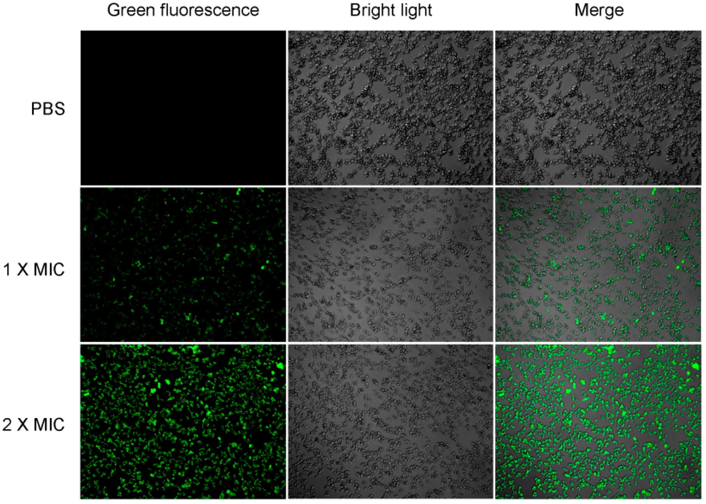 Molecules 23 02246 g007