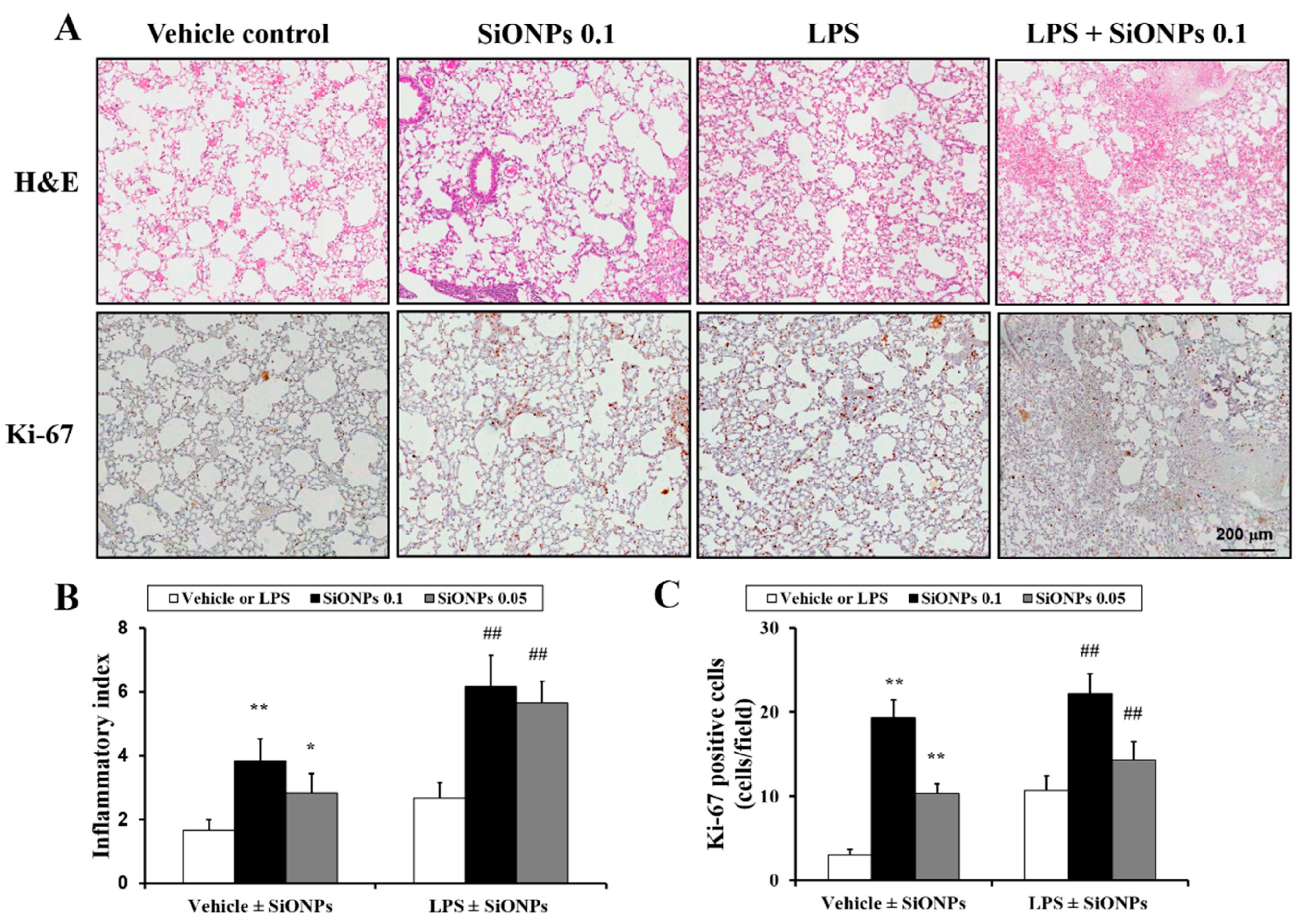 Molecules 23 02247 g004