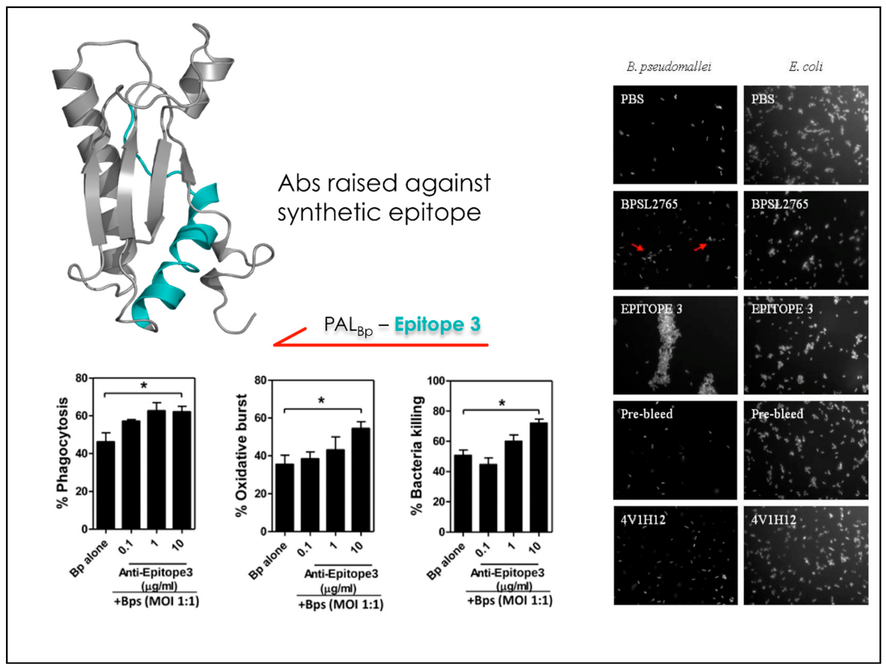 Molecules 23 02256 g006 Molecules 23 02256 g006