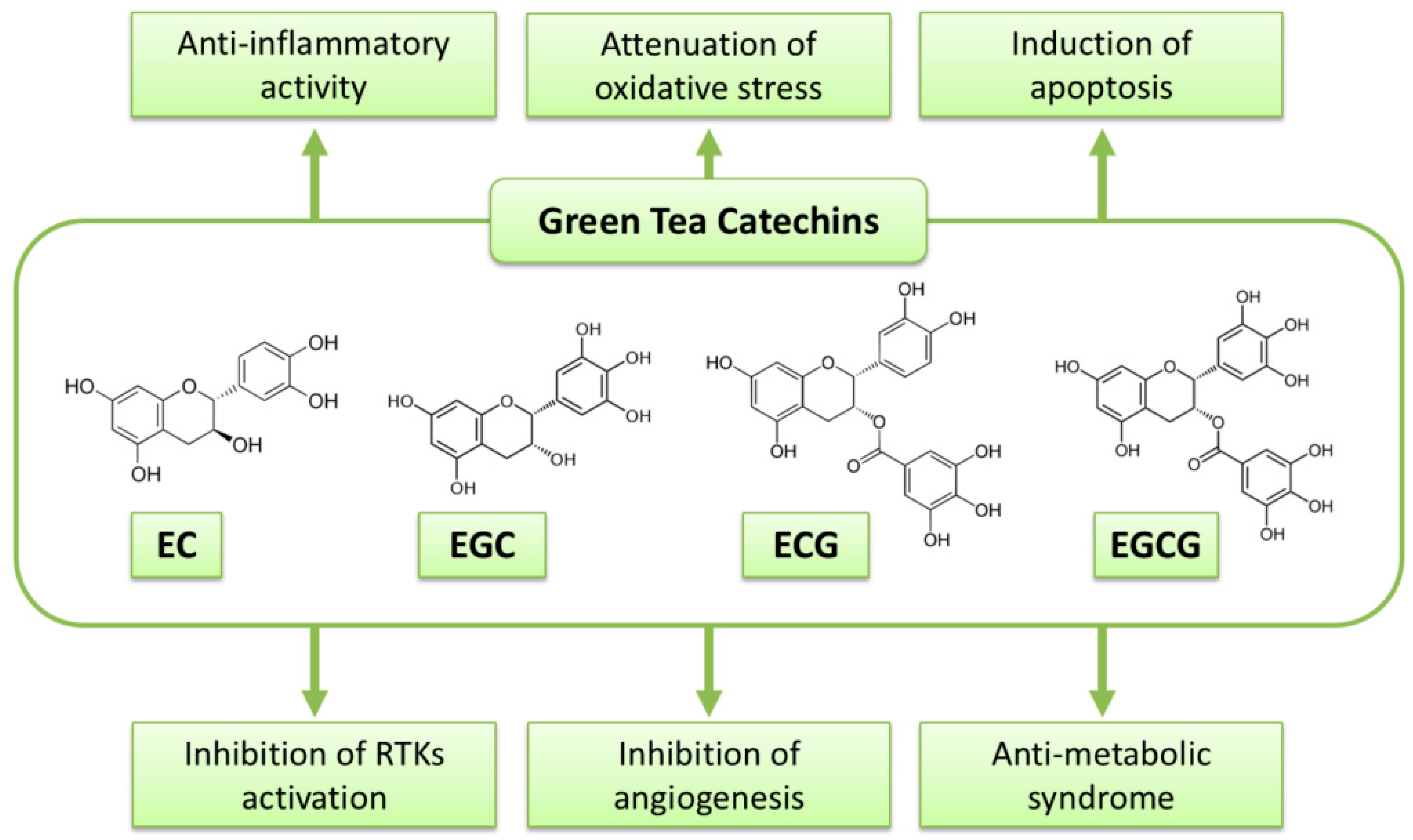 Molecules 23 02284 g001