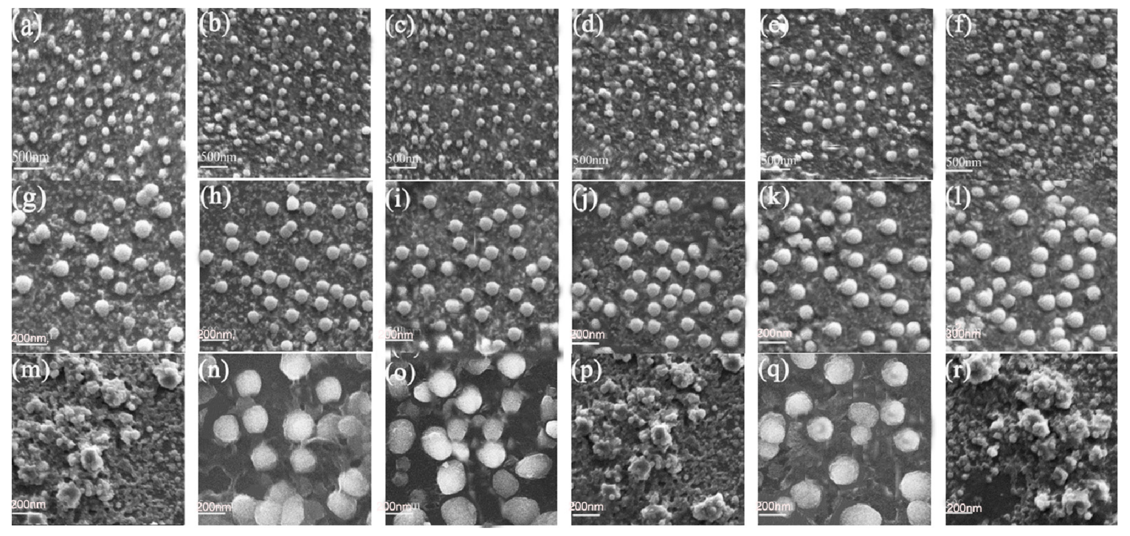 Molecules 23 02290 g005 Molecules 23 02290 g005