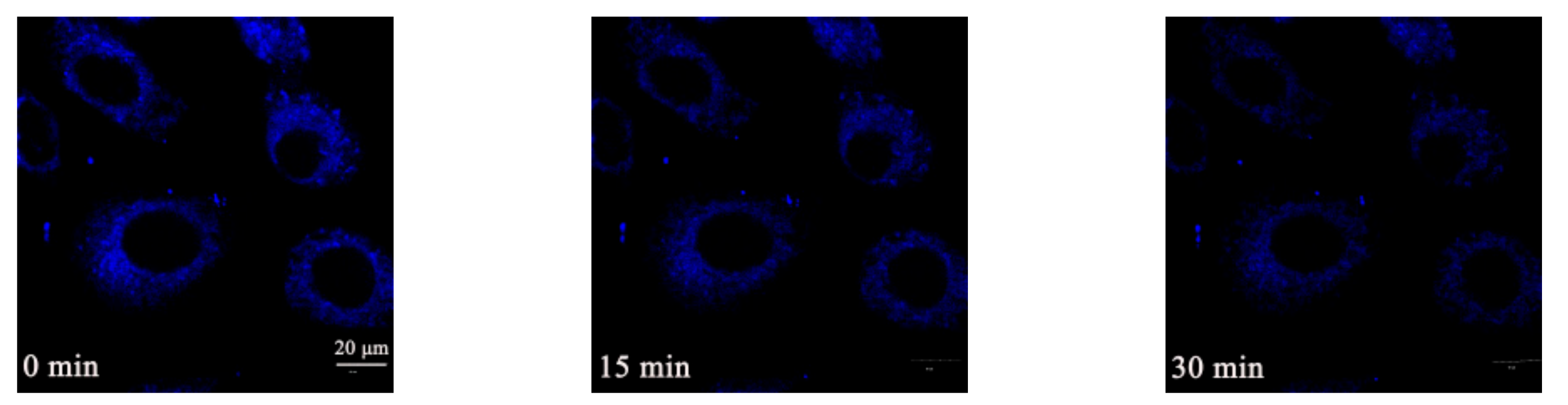 Molecules 23 02290 g010 Molecules 23 02290 g010