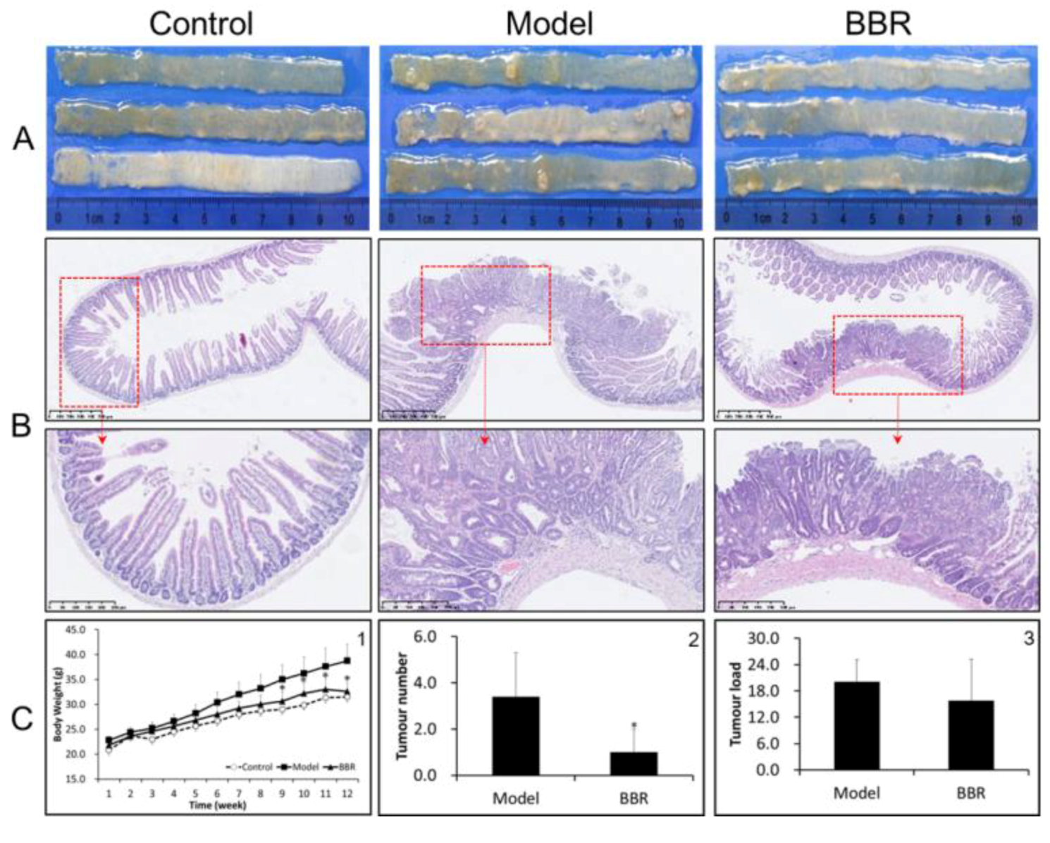 Molecules 23 02298 g001
