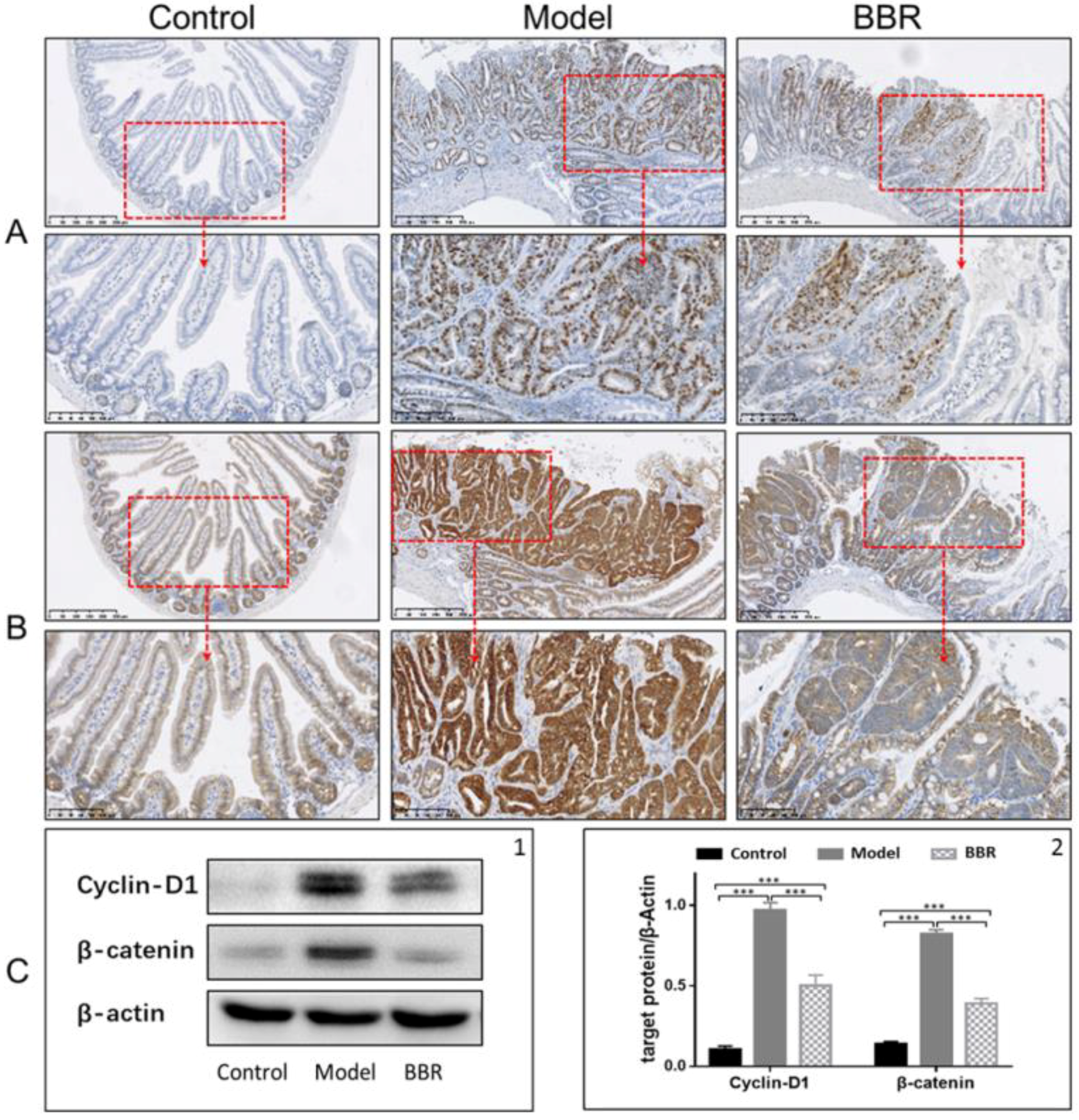 Molecules 23 02298 g002
