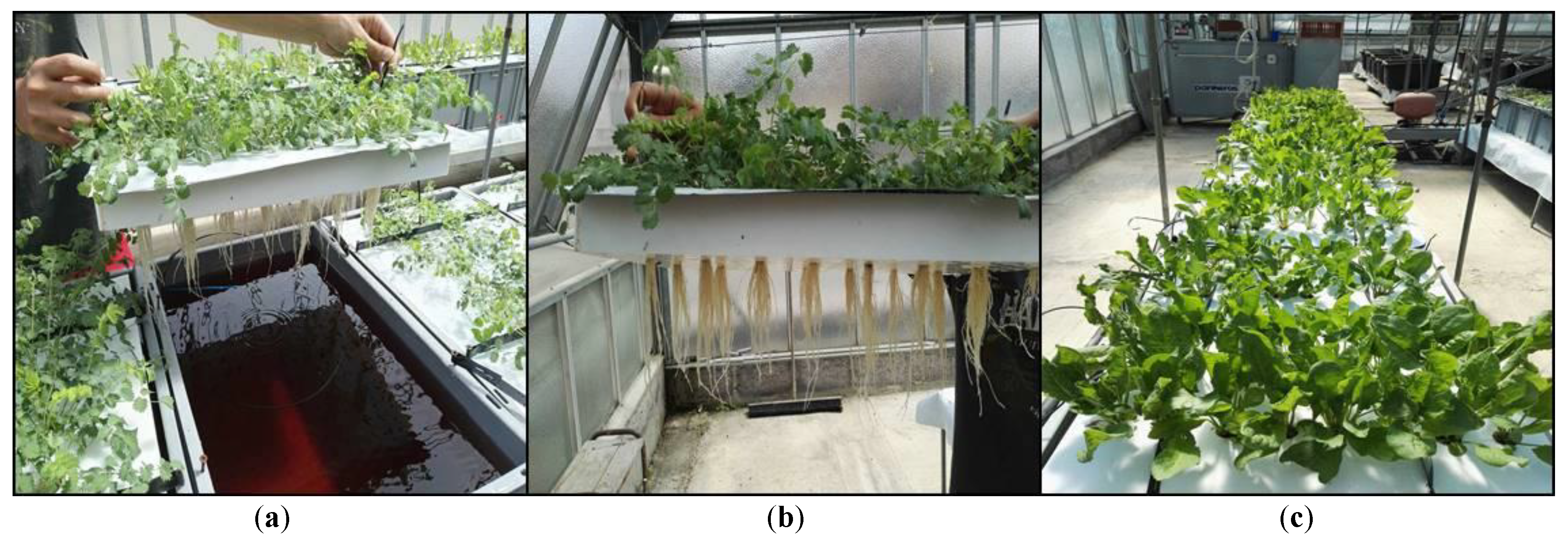 Molecules 23 02299 g001