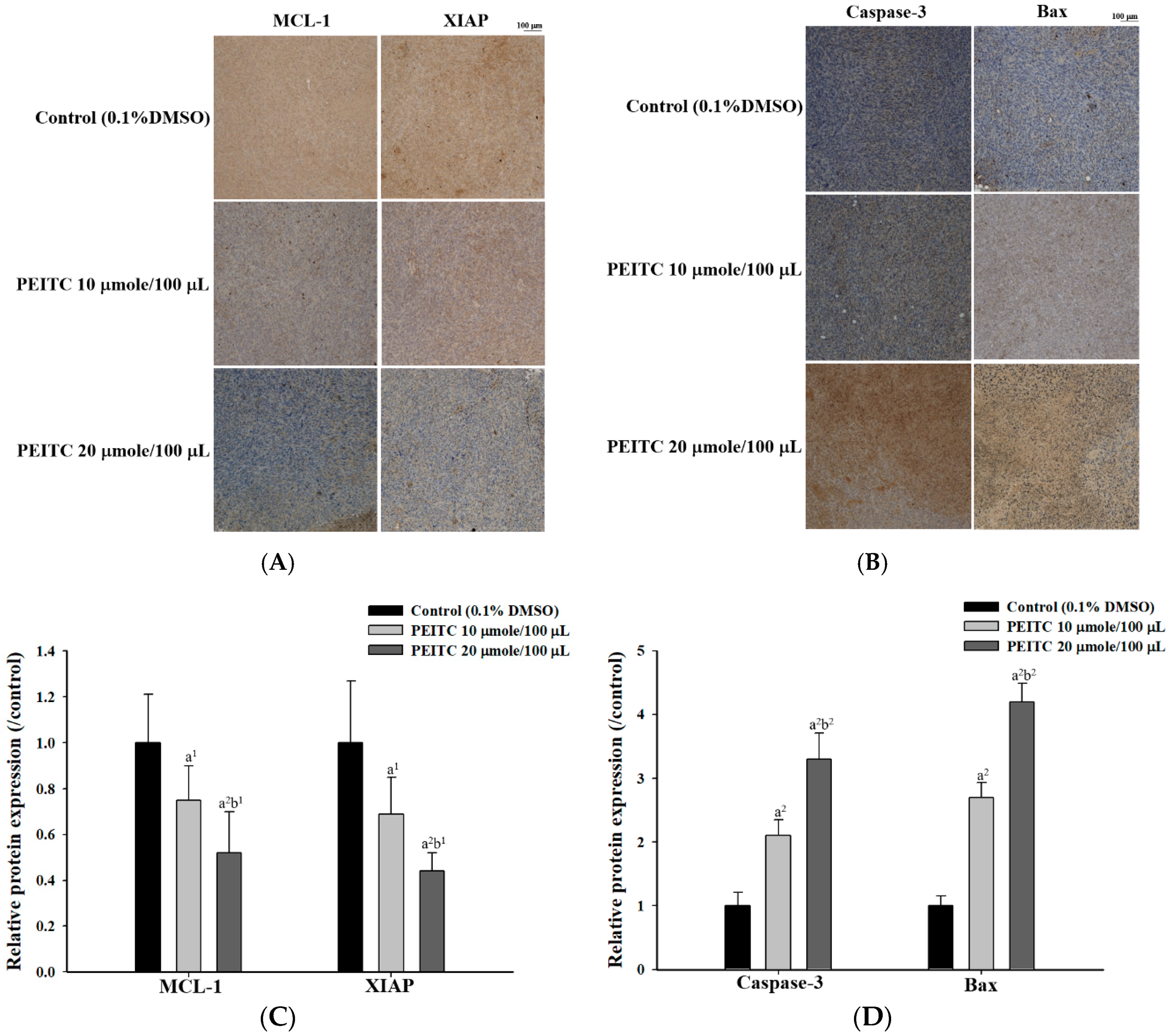 Molecules 23 02305 g003