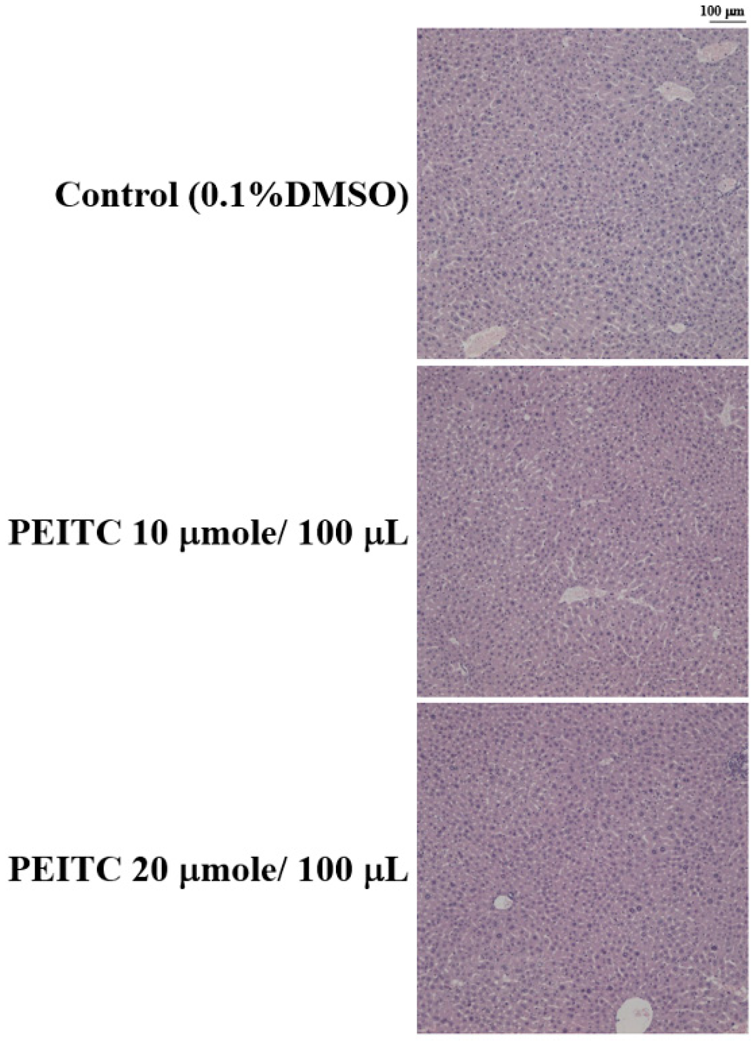 Molecules 23 02305 g004