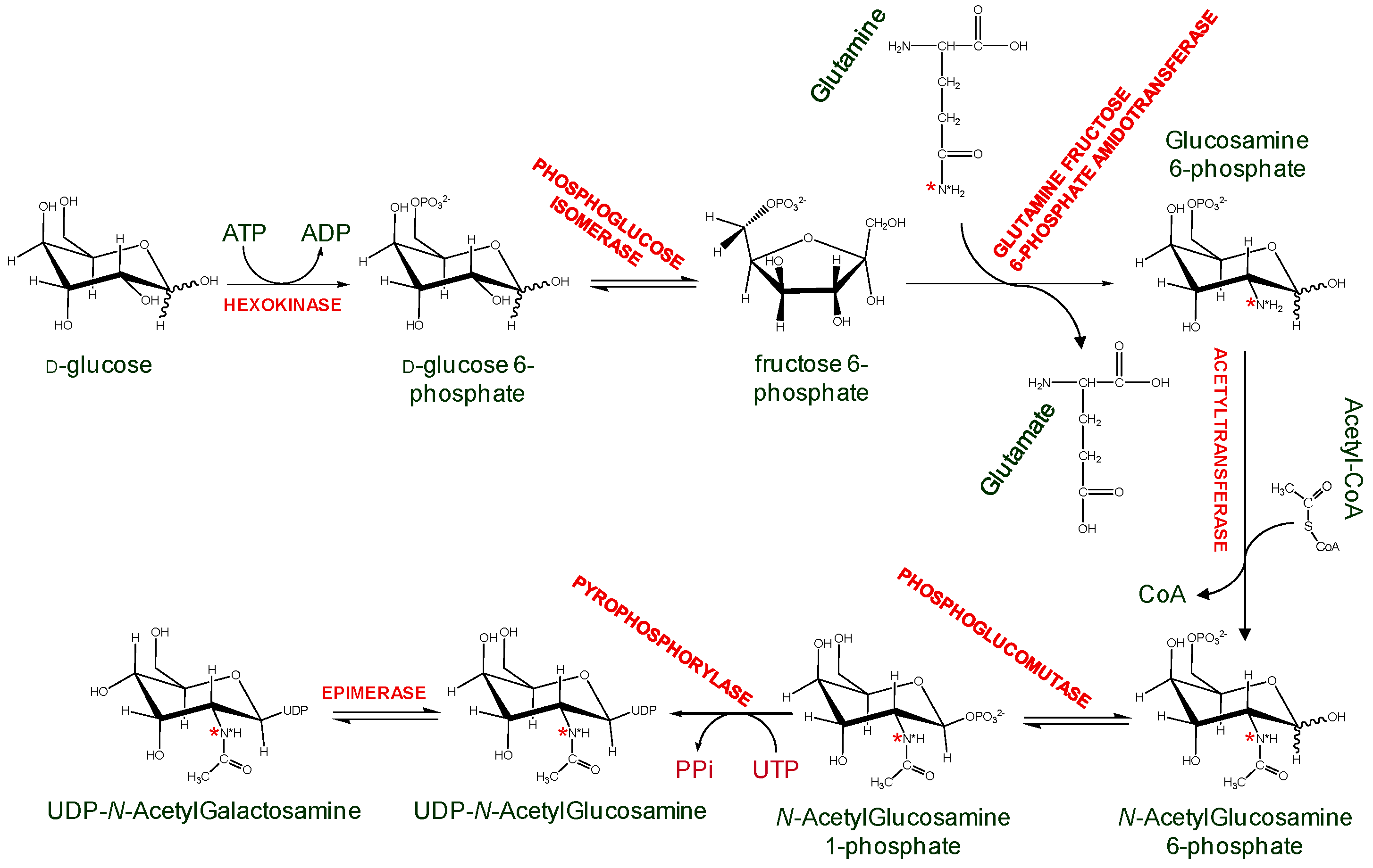 Molecules 23 02314 g009