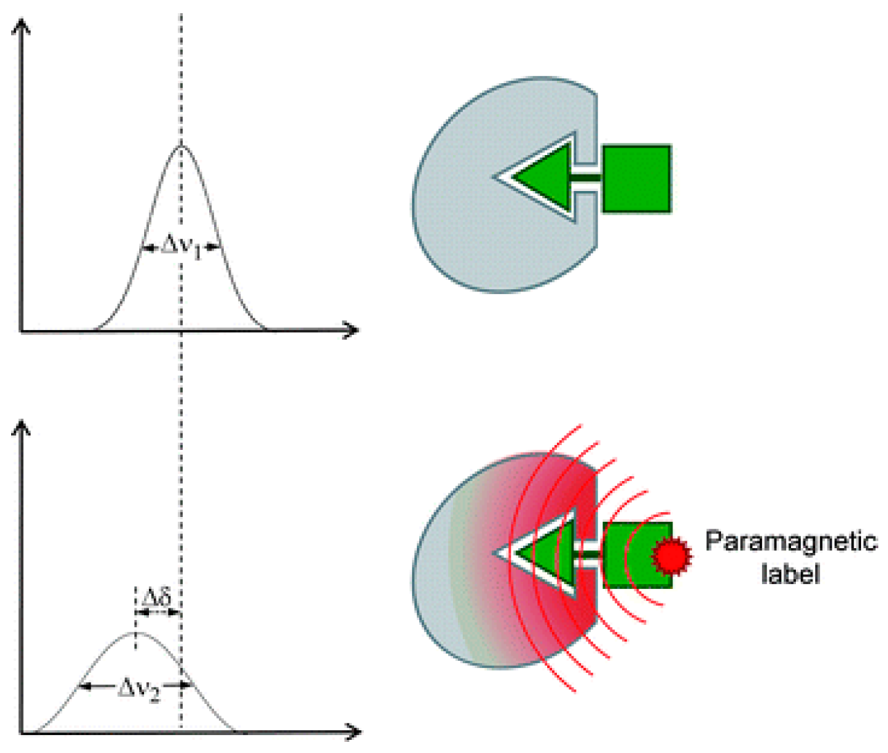 Molecules 23 02314 g010