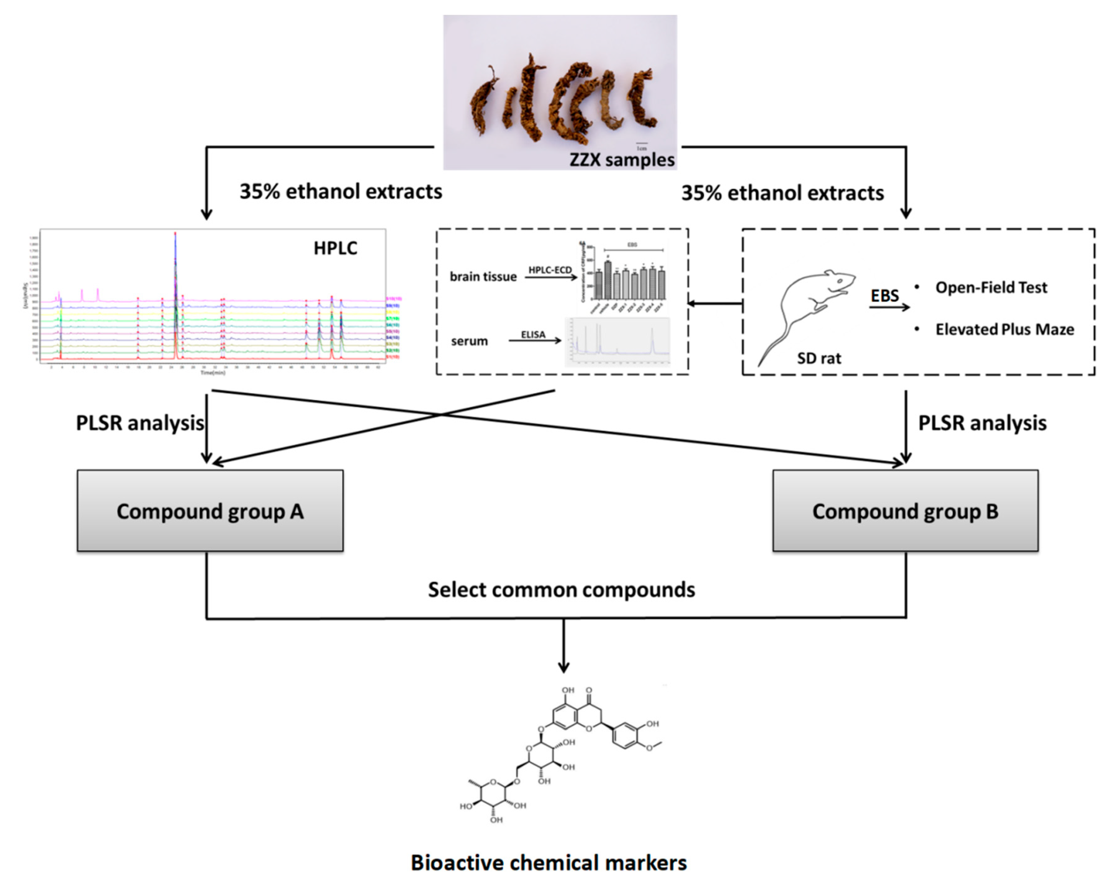 Molecules 23 02329 g010