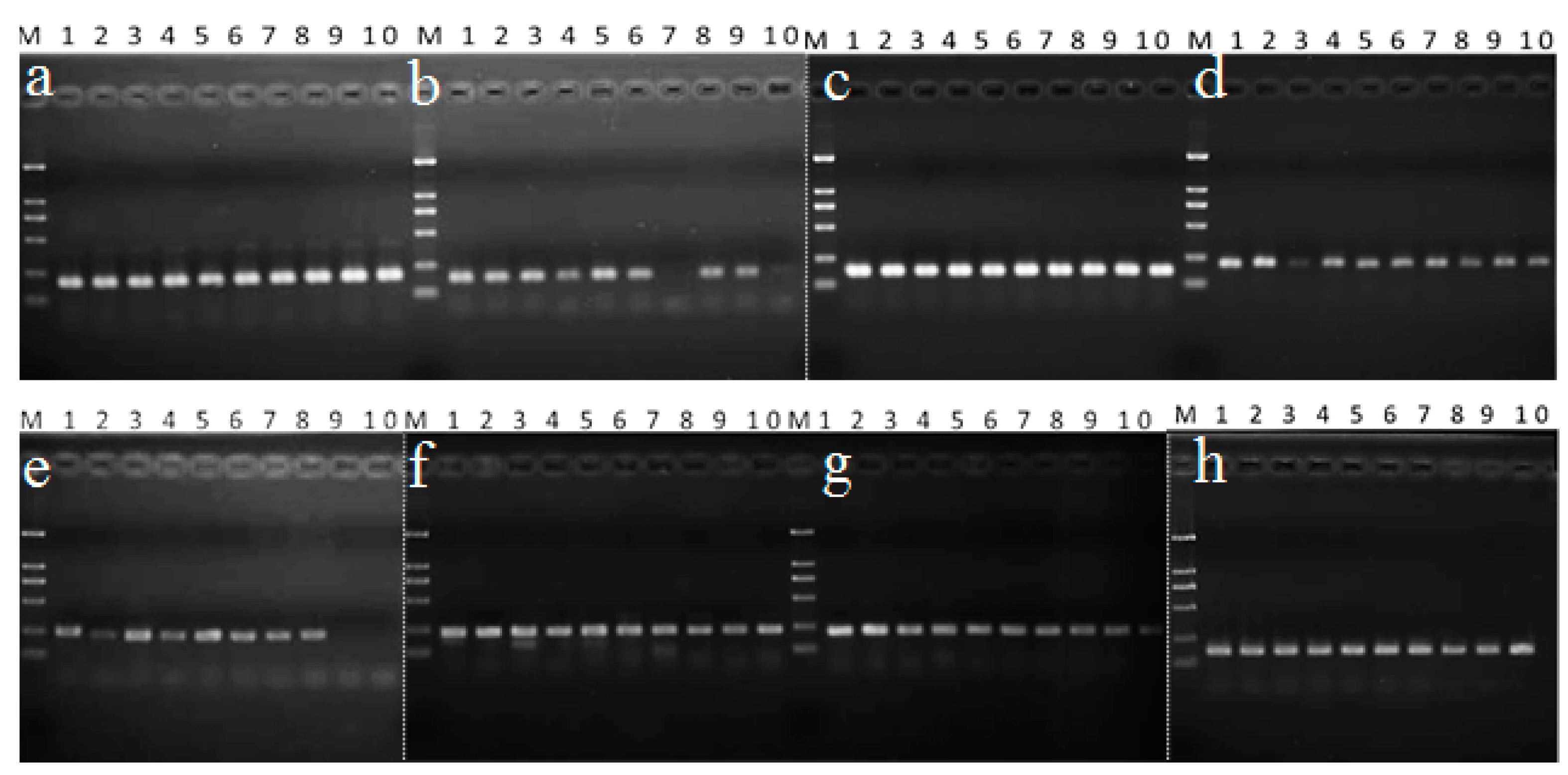 Molecules 23 02331 g002