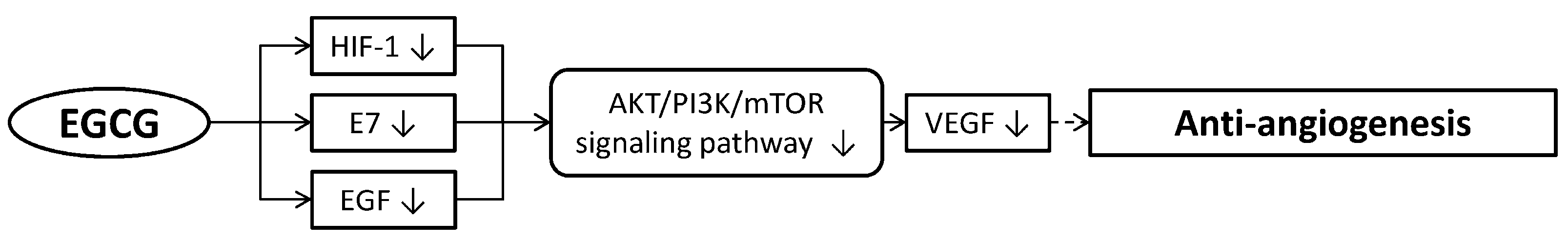 Molecules 23 02334 g002