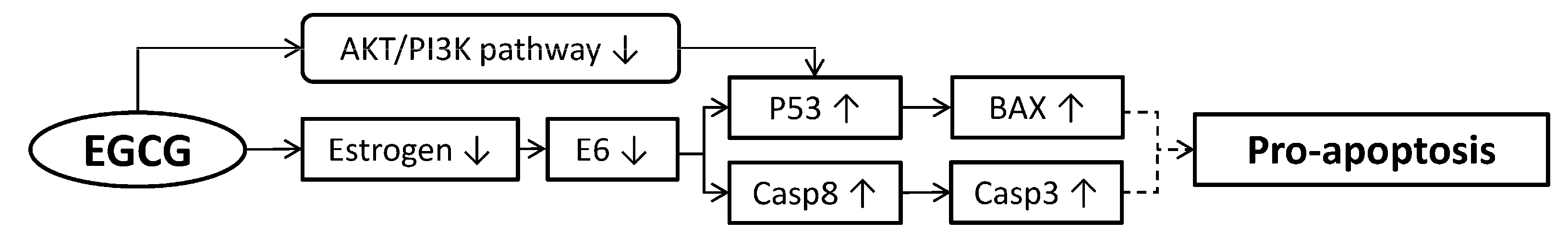 Molecules 23 02334 g003