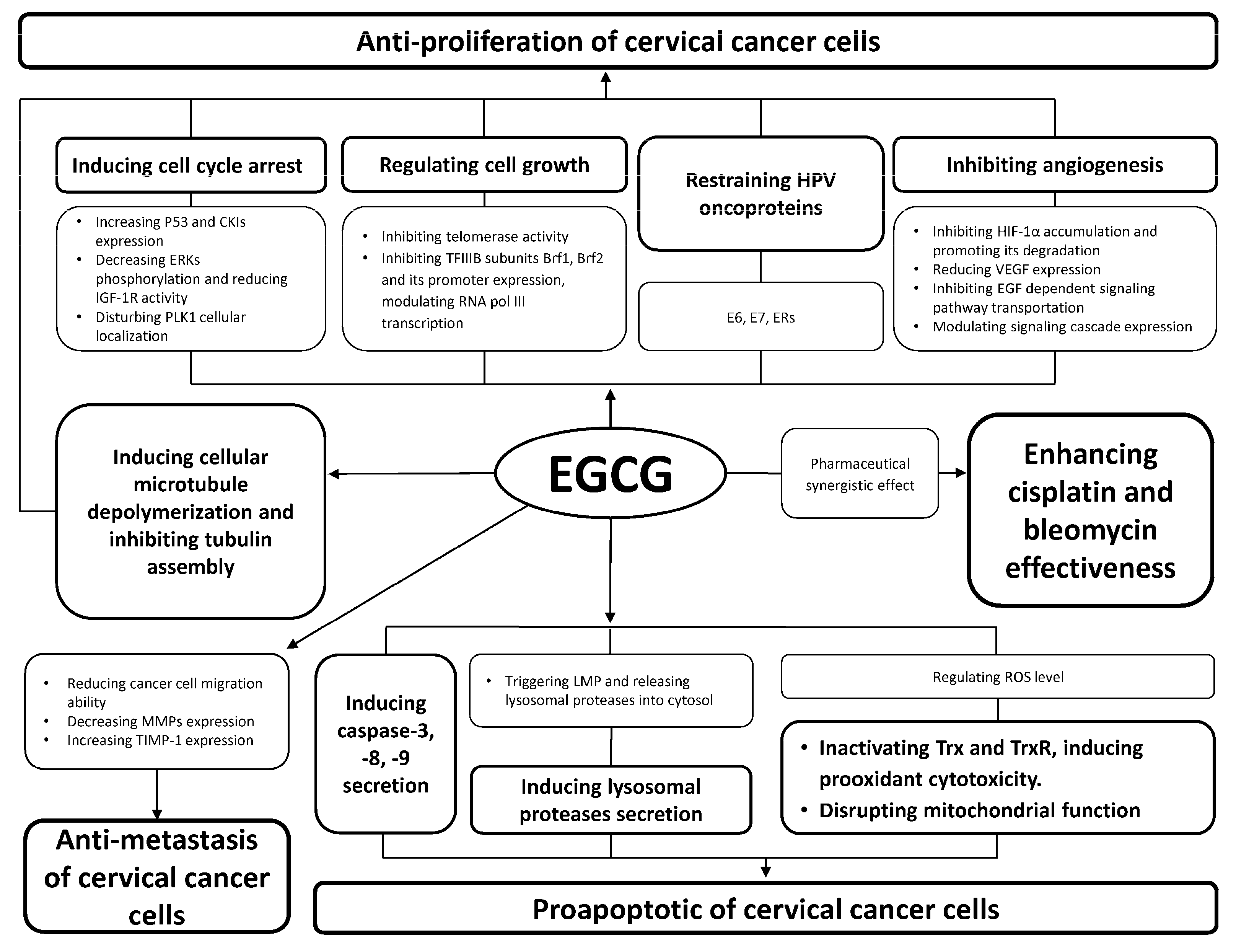 Molecules 23 02334 g004