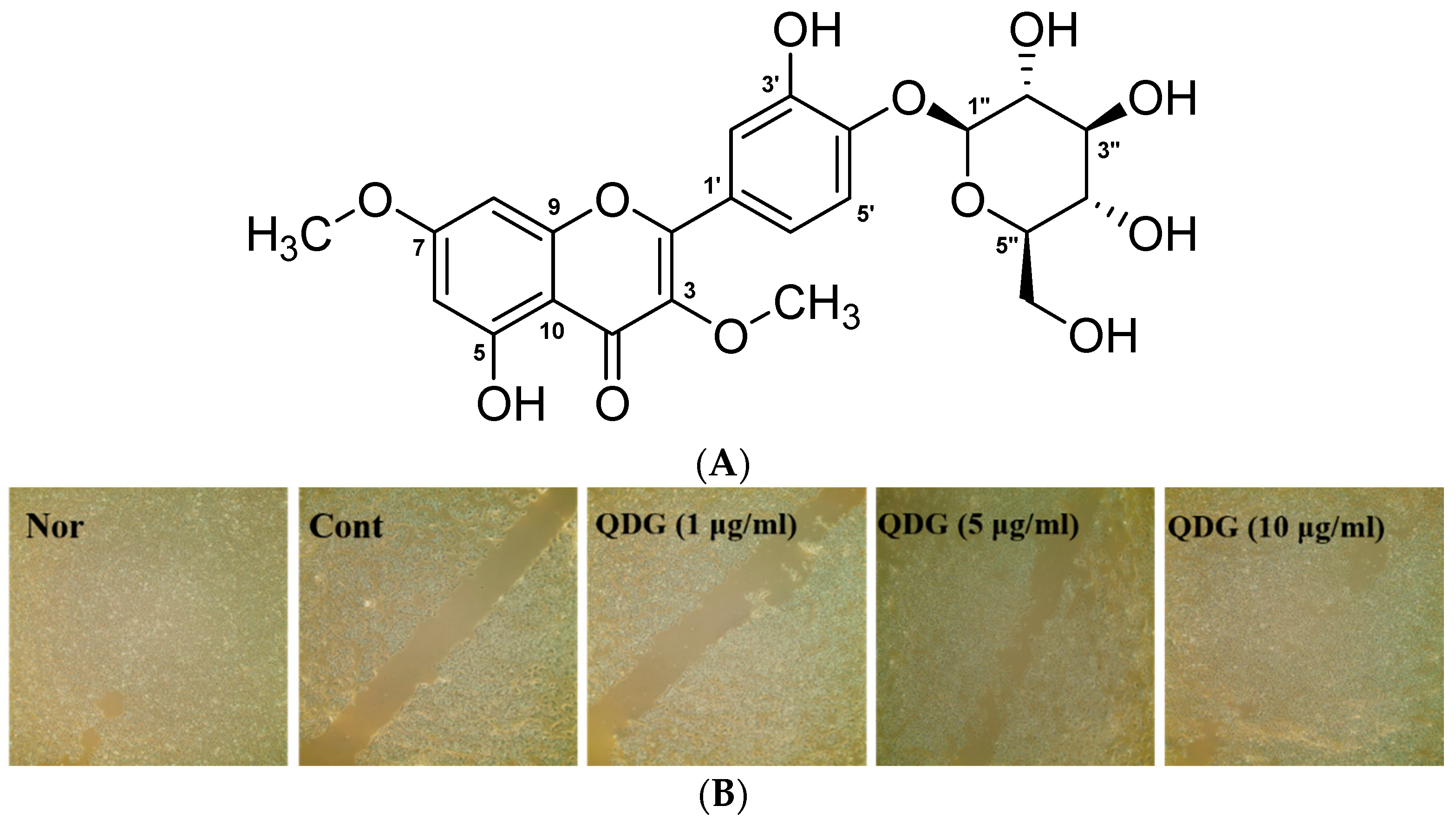 Molecules 23 02342 g001