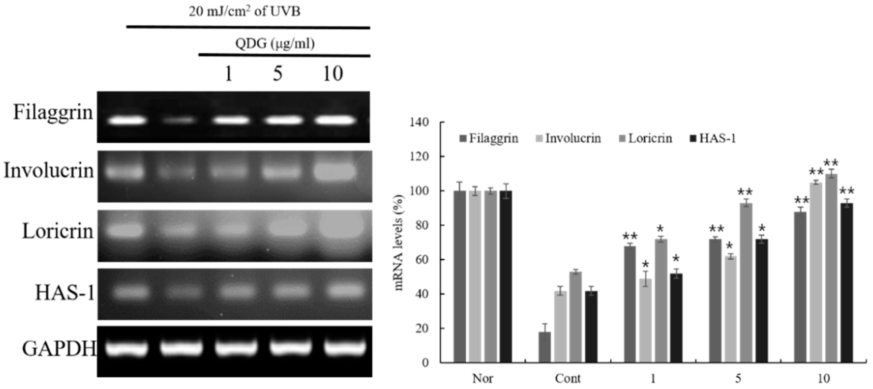 Molecules 23 02342 g004