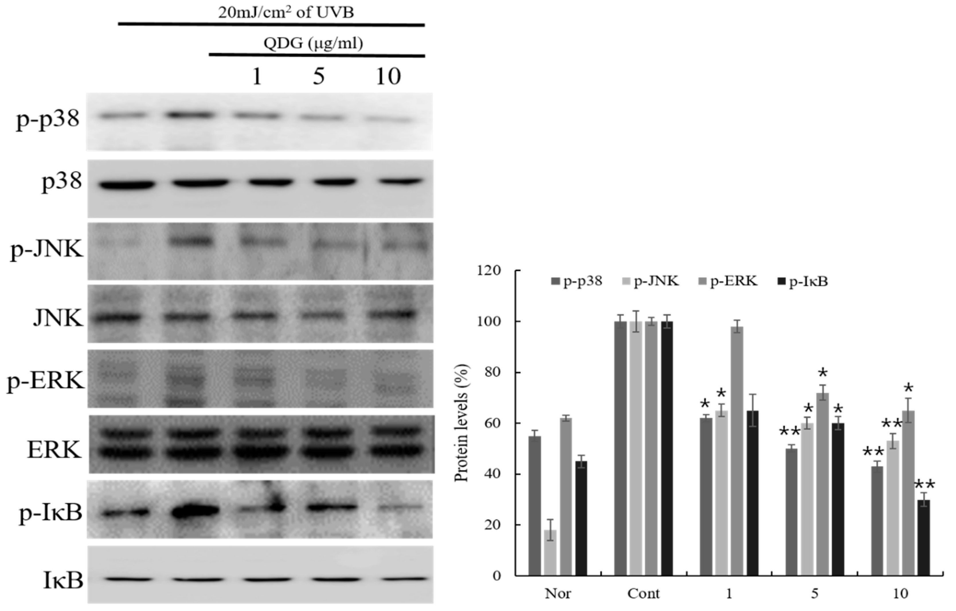 Molecules 23 02342 g005