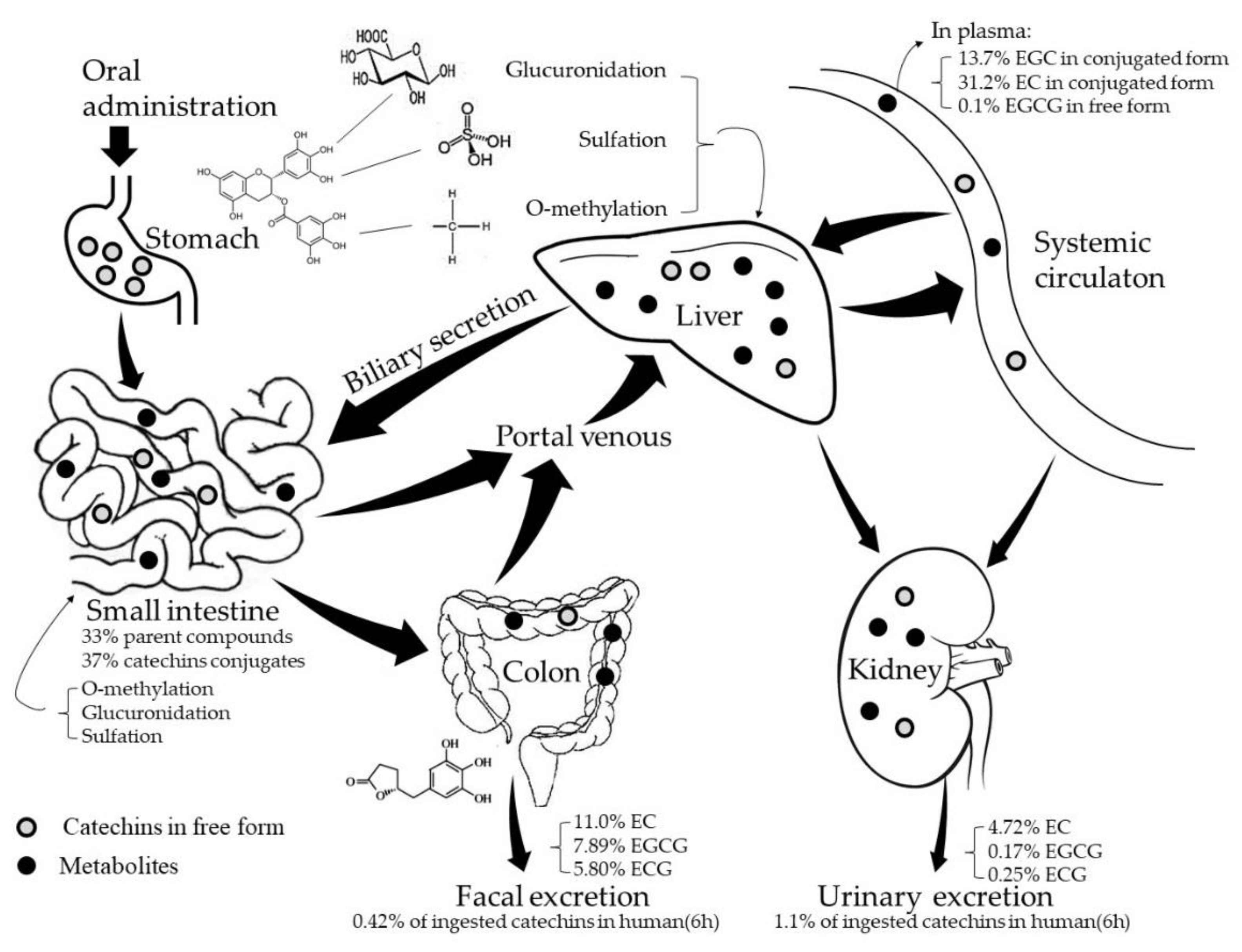 Molecules 23 02346 g001