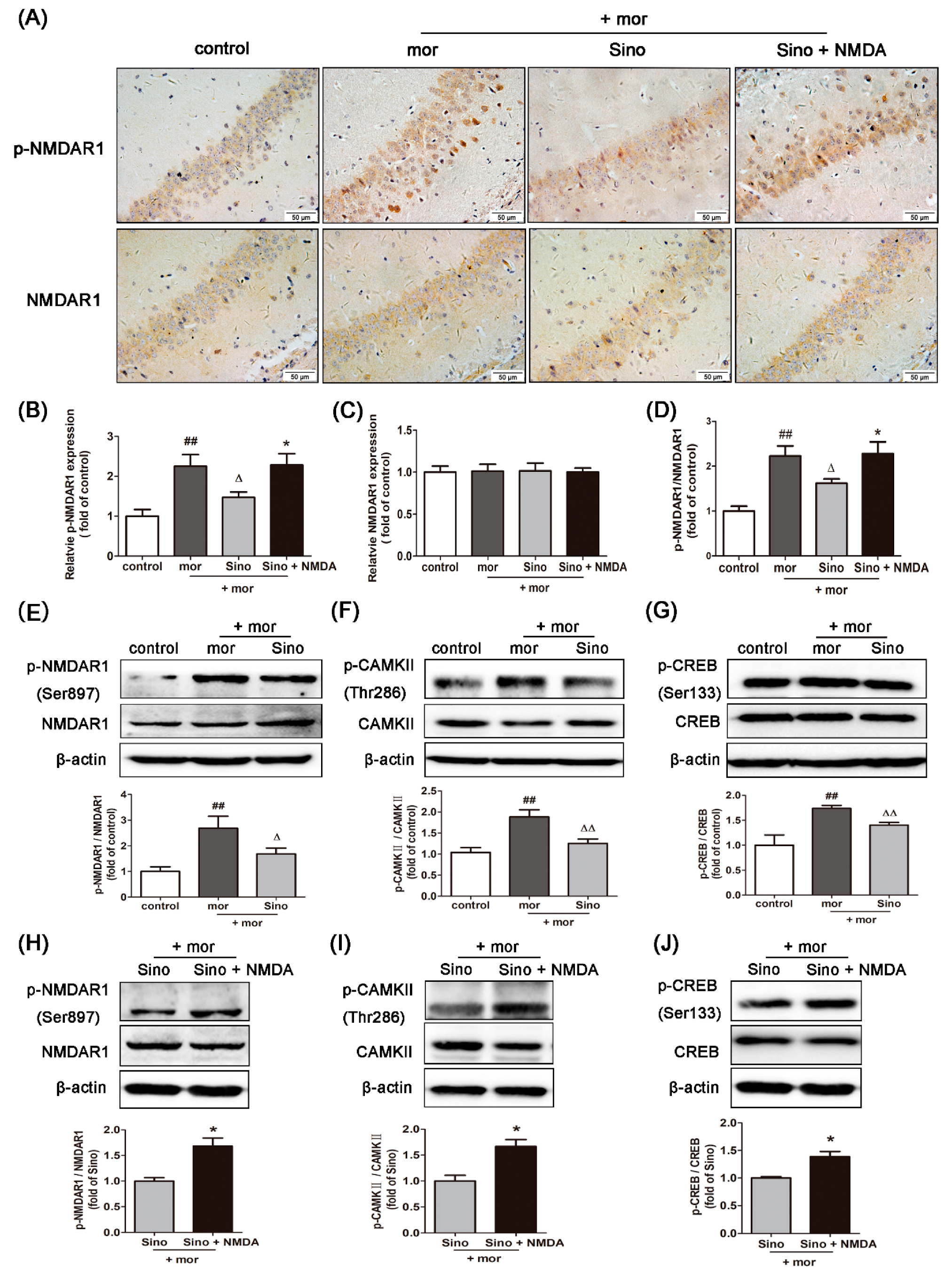 Molecules 23 02370 g002 Molecules 23 02370 g002