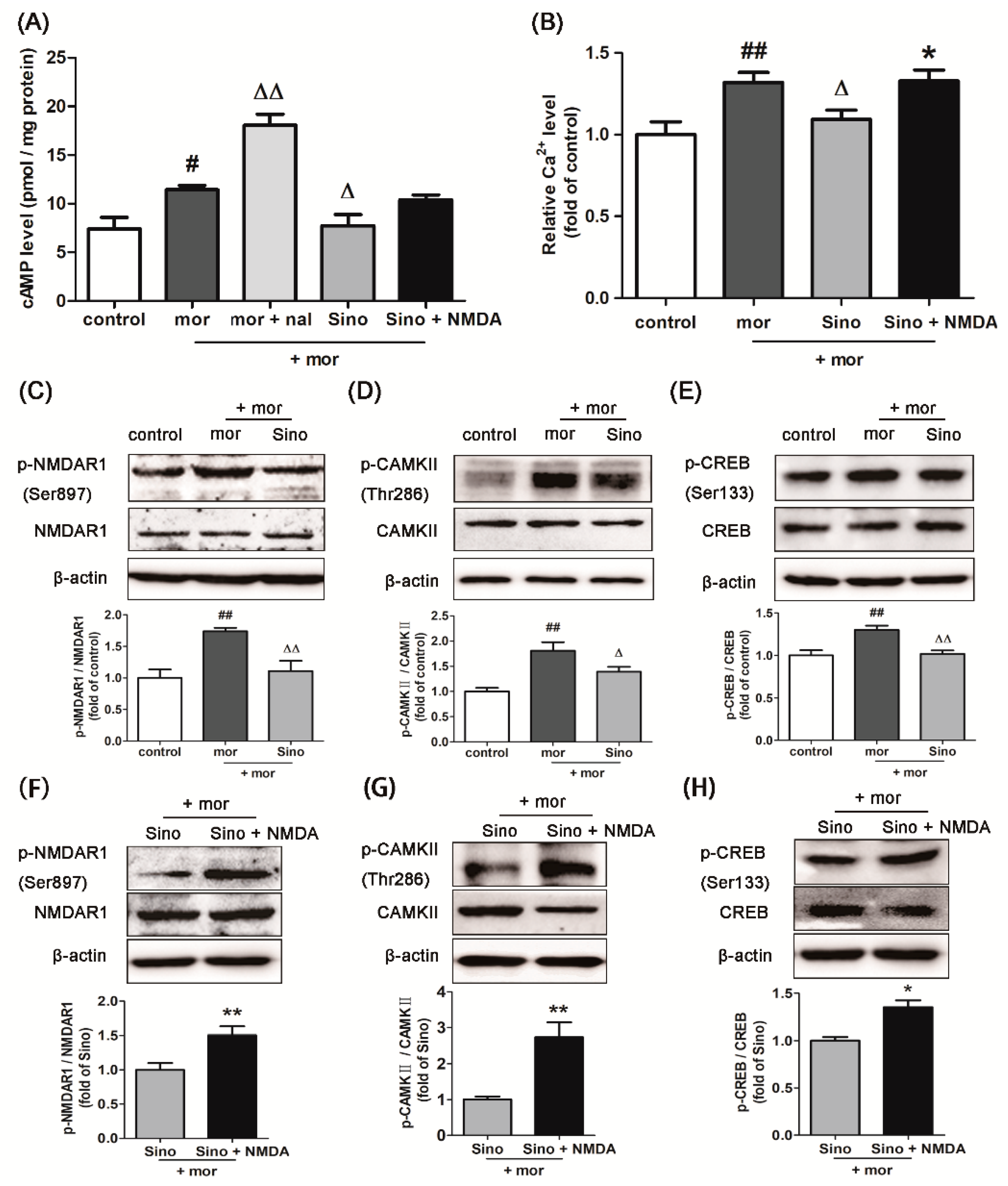 Molecules 23 02370 g003 Molecules 23 02370 g003